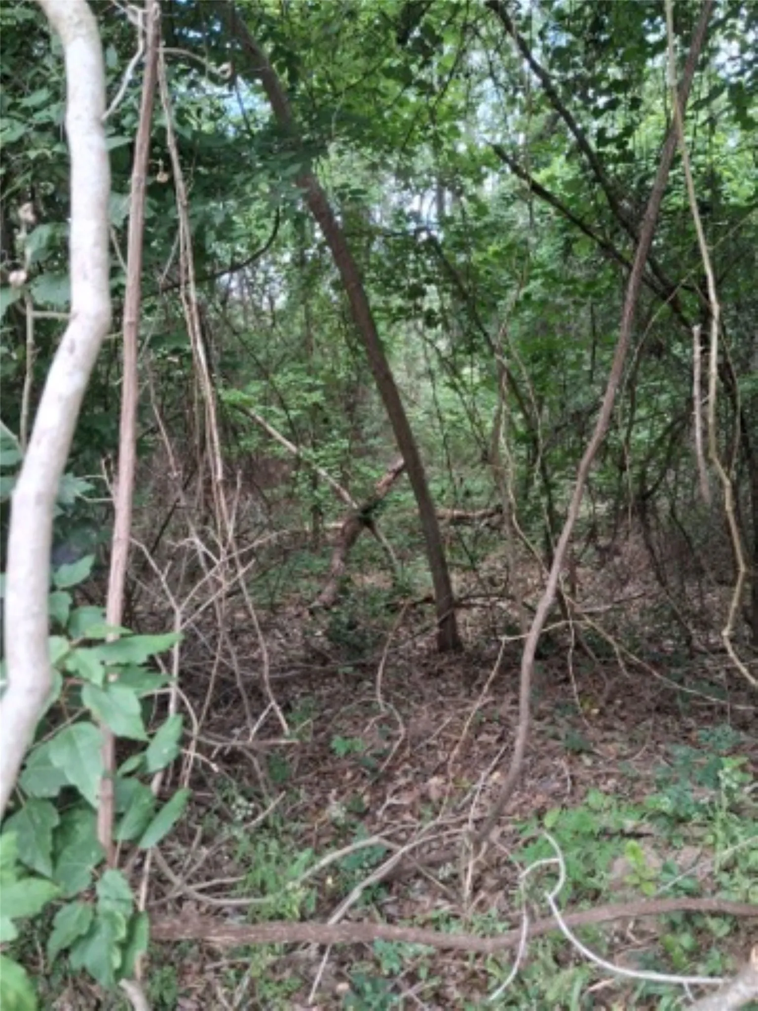 0.88 acres on these 4 lots