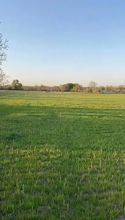 Unimproved Land For Sale in Wise County , Lot 6 County Road 3424 Corner, Bridgeport, Texas 76426, 0, 0, Garage spaces, 0 Sqft, built in 0, Price $64,000, mls#21305640, Real Estate Agent in Bridgeport, Homes For Sale in Wise county, Homes For Sale in Bridgeport, Realtor in Bridgeport Texas, Real Estate Brokerage Independent Realty Texas, Luminita Cordes Realtor