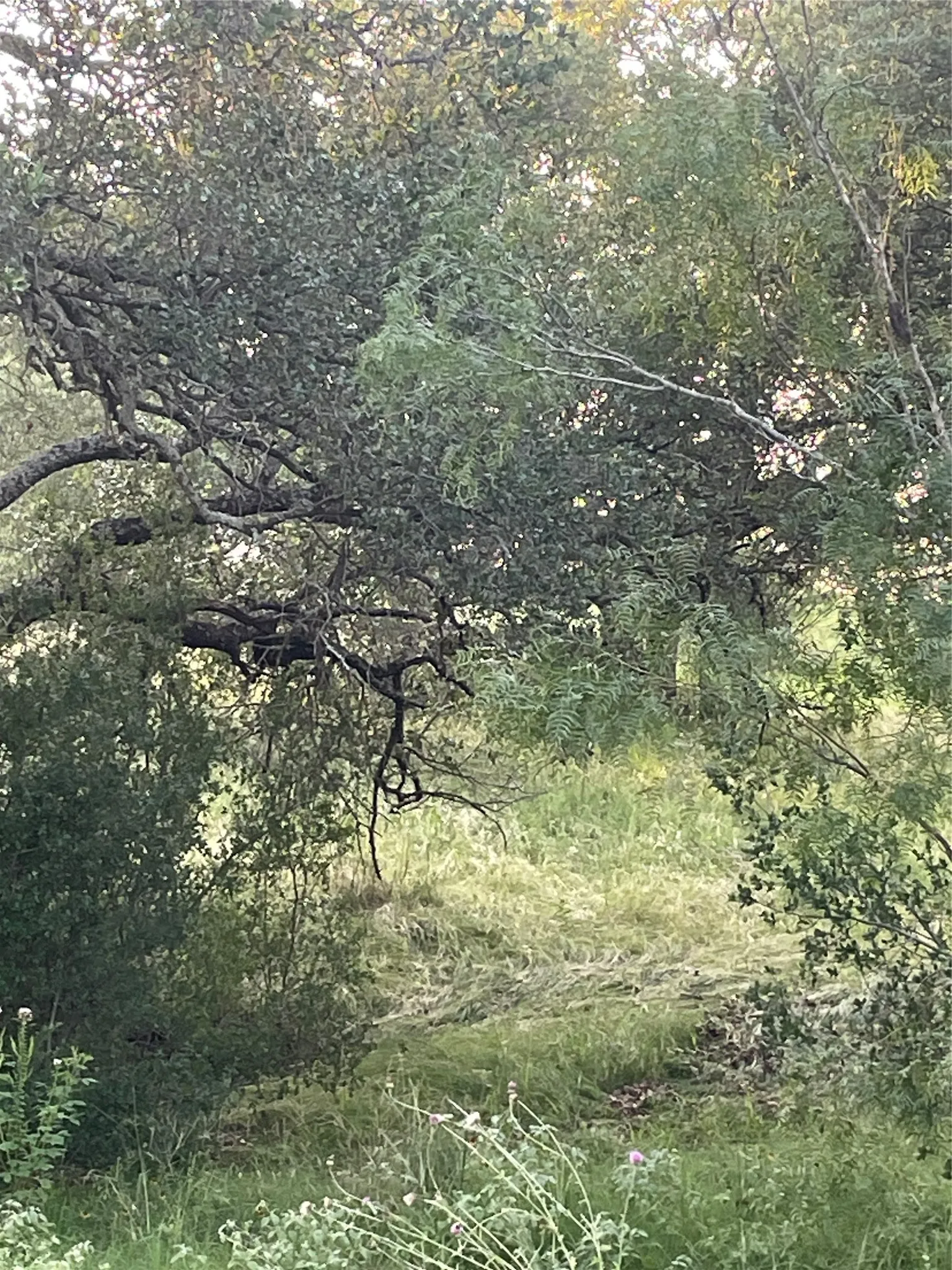 Unimproved Land For Sale in Llano County , Lot 15 Orange Plume, Horseshoe Bay, Texas 78657, 0, 0, Garage spaces, 0 Sqft, built in 0, mls#21305631, Real Estate Agent in Horseshoe Bay, Homes For Sale in Llano county, Homes For Sale in Horseshoe Bay, Realtor in Horseshoe Bay Texas, Real Estate Brokerage Independent Realty Texas, Luminita Cordes Realtor