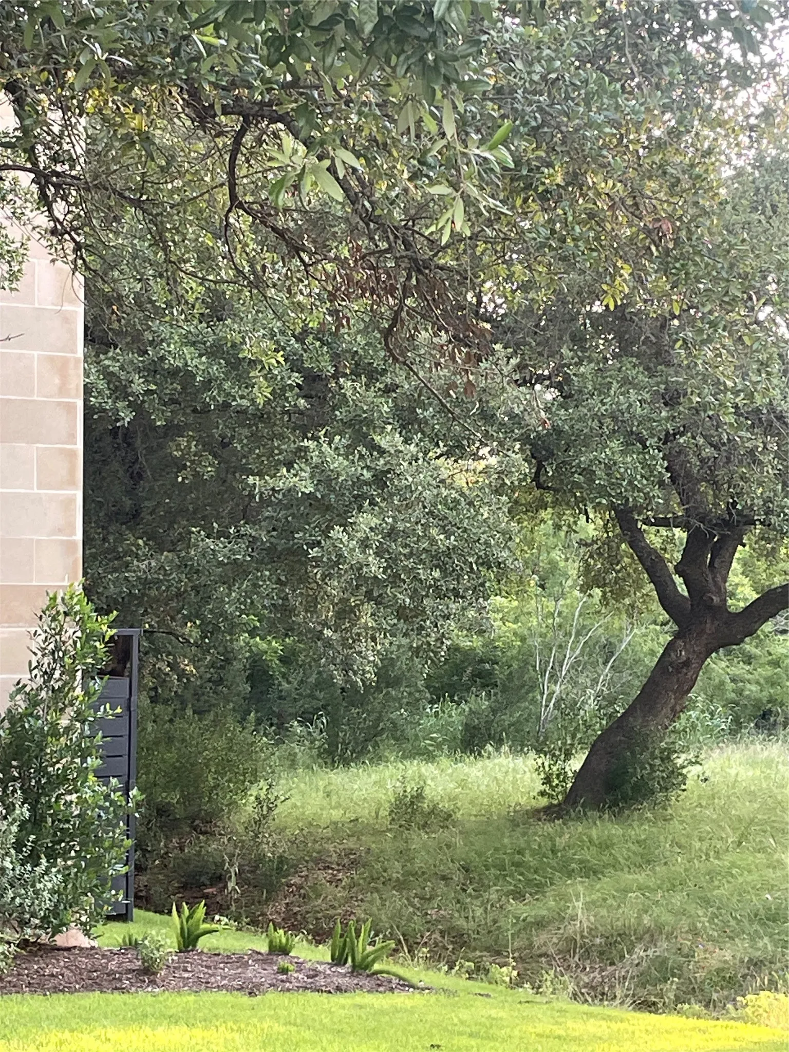 Unimproved Land For Sale in Llano County , Lot 15 Orange Plume, Horseshoe Bay, Texas 78657, 0, 0, Garage spaces, 0 Sqft, built in 0, mls#21305631, Real Estate Agent in Horseshoe Bay, Homes For Sale in Llano county, Homes For Sale in Horseshoe Bay, Realtor in Horseshoe Bay Texas, Real Estate Brokerage Independent Realty Texas, Luminita Cordes Realtor