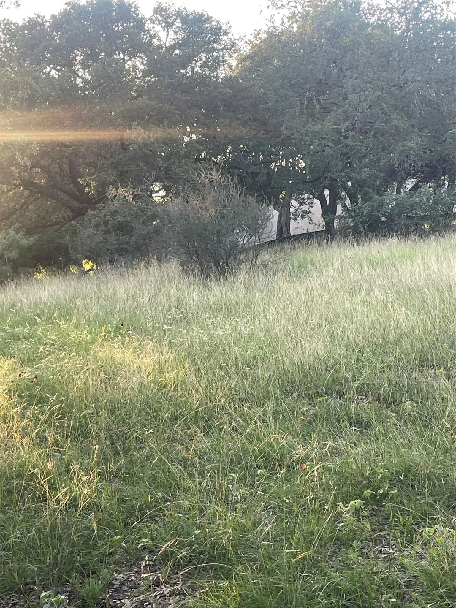 Unimproved Land For Sale in Llano County , Lot 15 Orange Plume, Horseshoe Bay, Texas 78657, 0, 0, Garage spaces, 0 Sqft, built in 0, mls#21305631, Real Estate Agent in Horseshoe Bay, Homes For Sale in Llano county, Homes For Sale in Horseshoe Bay, Realtor in Horseshoe Bay Texas, Real Estate Brokerage Independent Realty Texas, Luminita Cordes Realtor