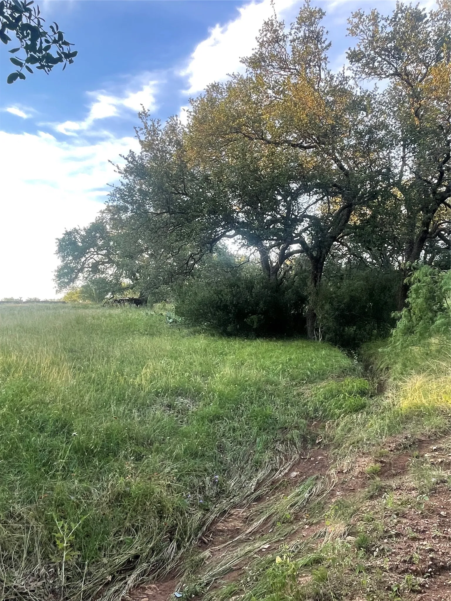 Unimproved Land For Sale in Llano County , Lot 15 Orange Plume, Horseshoe Bay, Texas 78657, 0, 0, Garage spaces, 0 Sqft, built in 0, mls#21305631, Real Estate Agent in Horseshoe Bay, Homes For Sale in Llano county, Homes For Sale in Horseshoe Bay, Realtor in Horseshoe Bay Texas, Real Estate Brokerage Independent Realty Texas, Luminita Cordes Realtor