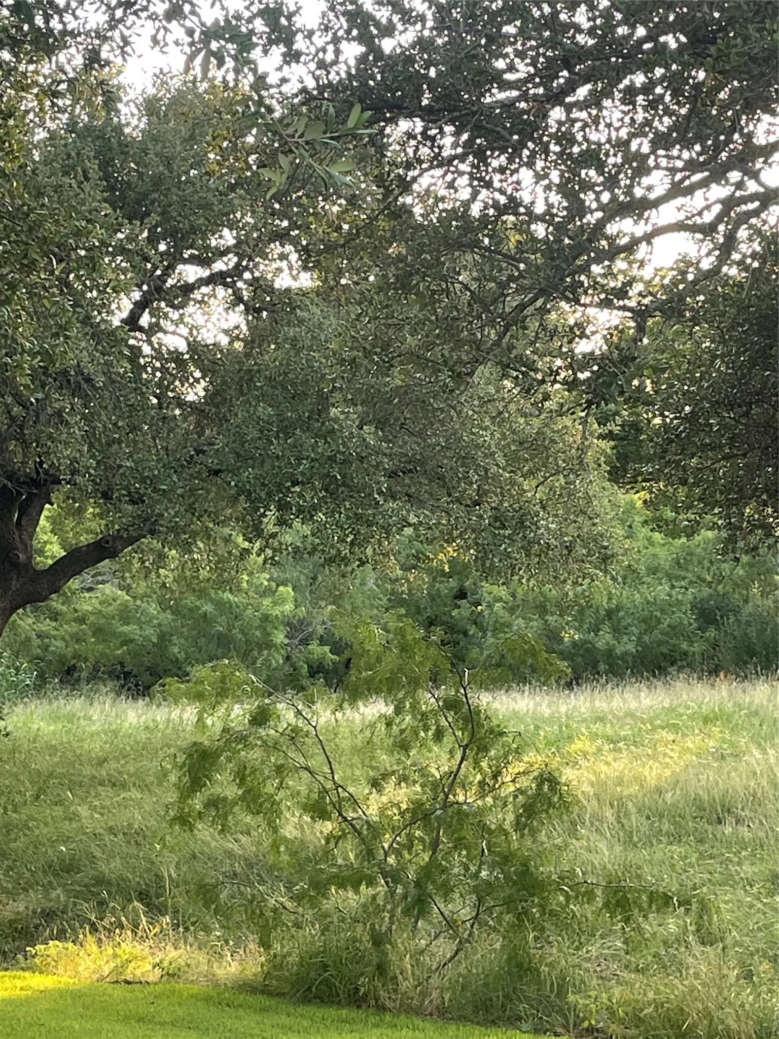 Unimproved Land For Sale in Llano County , Lot 15 Orange Plume, Horseshoe Bay, Texas 78657, 0, 0, Garage spaces, 0 Sqft, built in 0, mls#21305631, Real Estate Agent in Horseshoe Bay, Homes For Sale in Llano county, Homes For Sale in Horseshoe Bay, Realtor in Horseshoe Bay Texas, Real Estate Brokerage Independent Realty Texas, Luminita Cordes Realtor