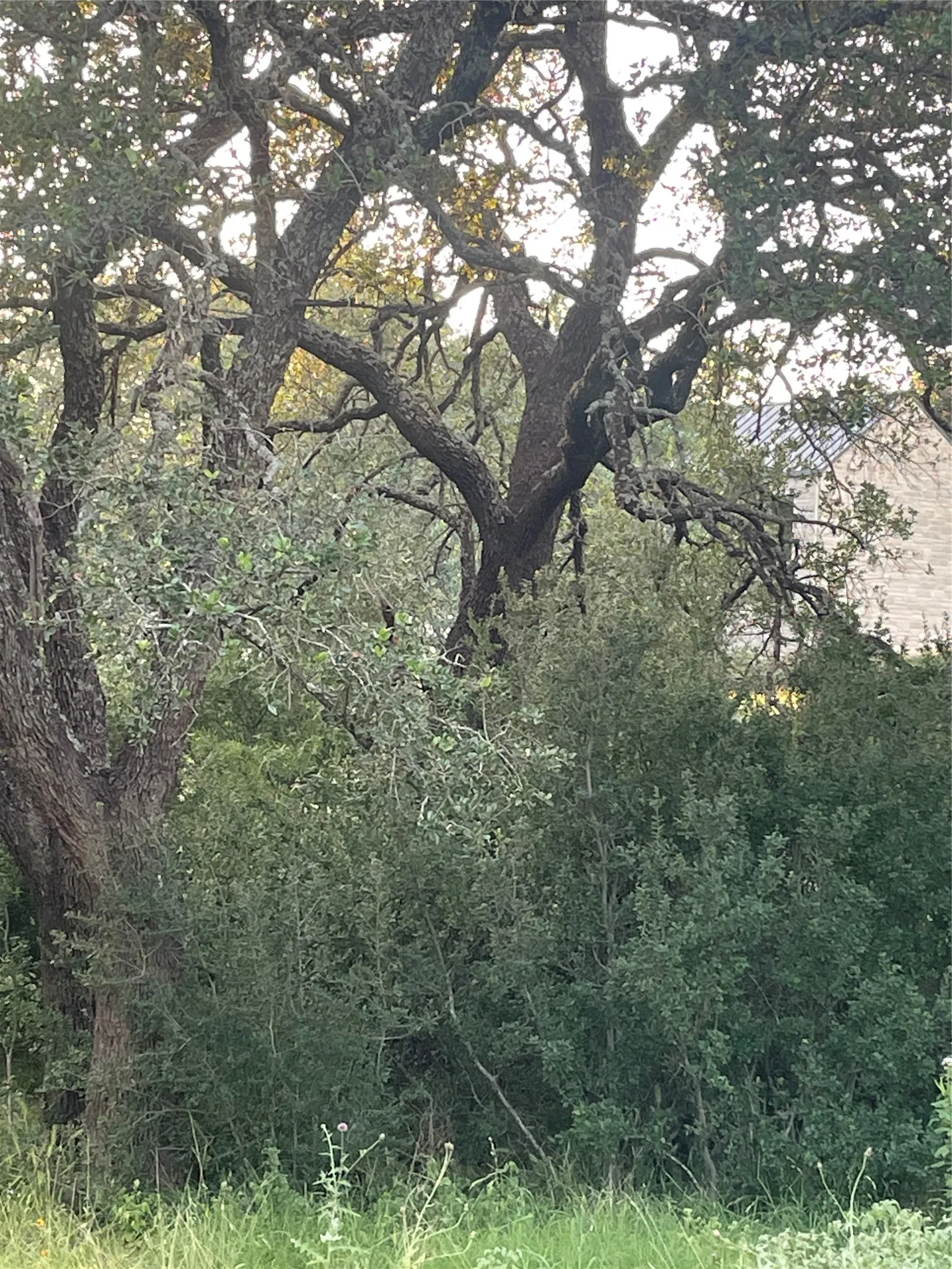 Unimproved Land For Sale in Llano County , Lot 15 Orange Plume, Horseshoe Bay, Texas 78657, 0, 0, Garage spaces, 0 Sqft, built in 0, mls#21305631, Real Estate Agent in Horseshoe Bay, Homes For Sale in Llano county, Homes For Sale in Horseshoe Bay, Realtor in Horseshoe Bay Texas, Real Estate Brokerage Independent Realty Texas, Luminita Cordes Realtor