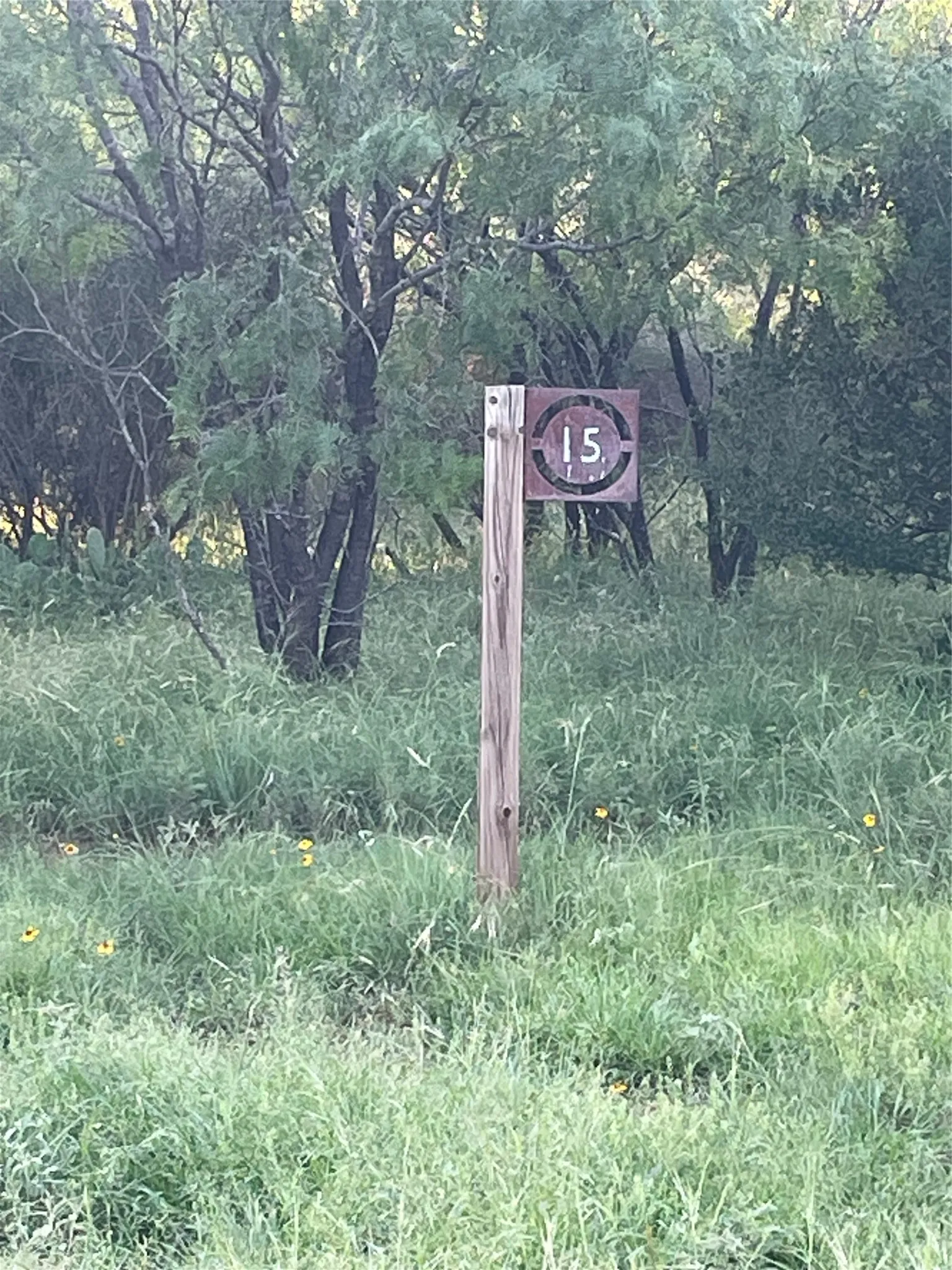 Unimproved Land For Sale in Llano County , Lot 15 Orange Plume, Horseshoe Bay, Texas 78657, 0, 0, Garage spaces, 0 Sqft, built in 0, mls#21305631, Real Estate Agent in Horseshoe Bay, Homes For Sale in Llano county, Homes For Sale in Horseshoe Bay, Realtor in Horseshoe Bay Texas, Real Estate Brokerage Independent Realty Texas, Luminita Cordes Realtor