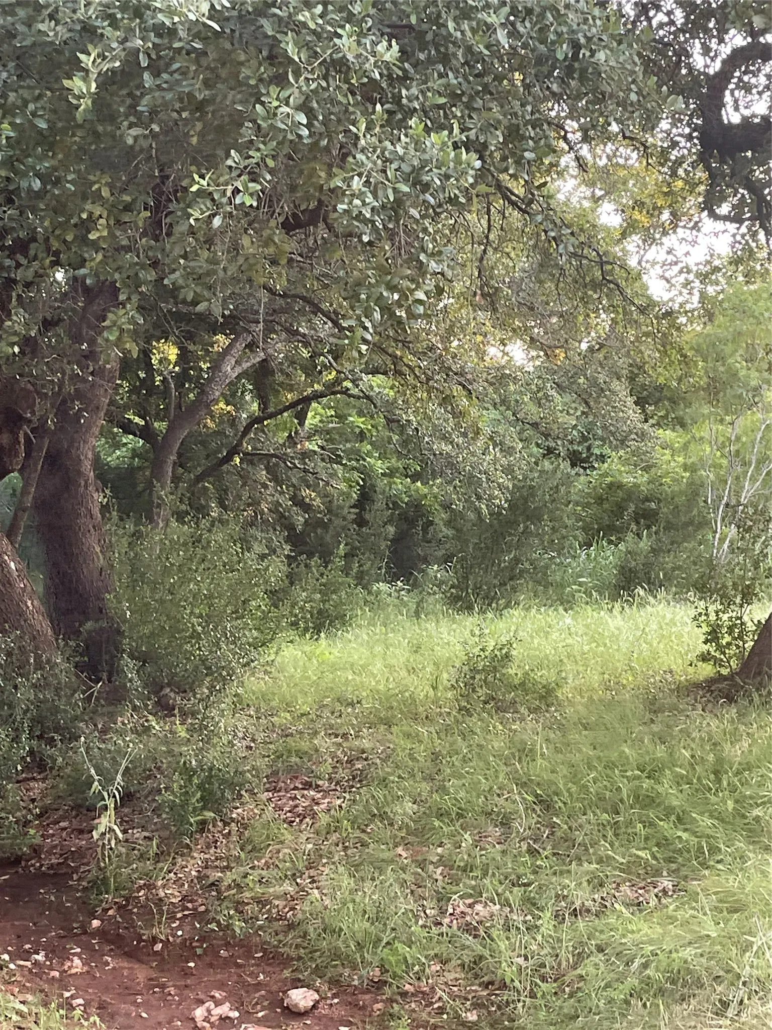 Unimproved Land For Sale in Llano County , Lot 15 Orange Plume, Horseshoe Bay, Texas 78657, 0, 0, Garage spaces, 0 Sqft, built in 0, mls#21305631, Real Estate Agent in Horseshoe Bay, Homes For Sale in Llano county, Homes For Sale in Horseshoe Bay, Realtor in Horseshoe Bay Texas, Real Estate Brokerage Independent Realty Texas, Luminita Cordes Realtor
