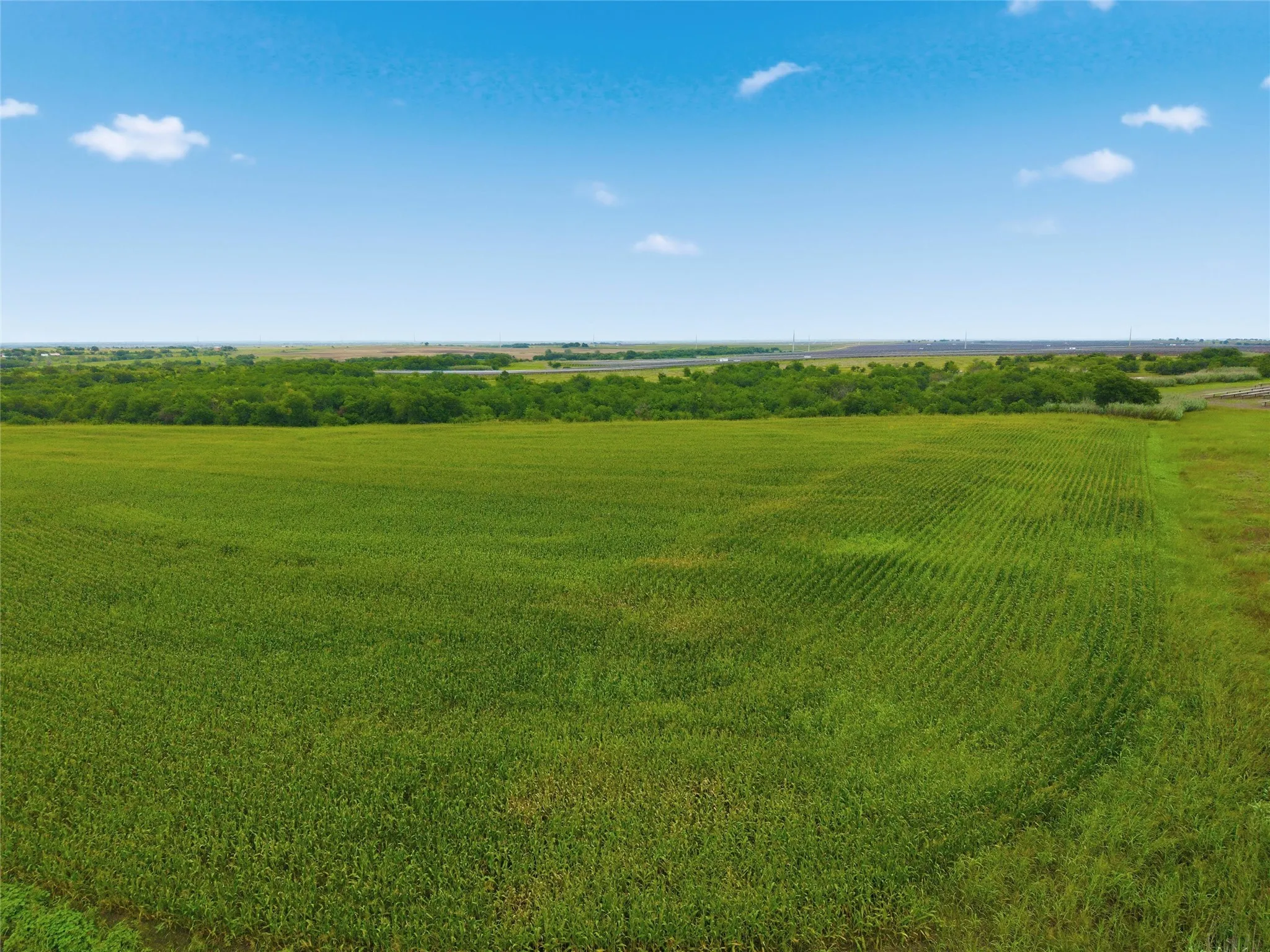 Unimproved Land For Sale in Hill County , TBD HCR 3165 Road, Abbott, Texas 76621, 0, 0, Garage spaces, 0 Sqft, built in 0, mls#21304638, Real Estate Agent in Abbott, Homes For Sale in Hill county, Homes For Sale in Abbott, Realtor in Abbott Texas, Real Estate Brokerage Independent Realty Texas, Luminita Cordes Realtor