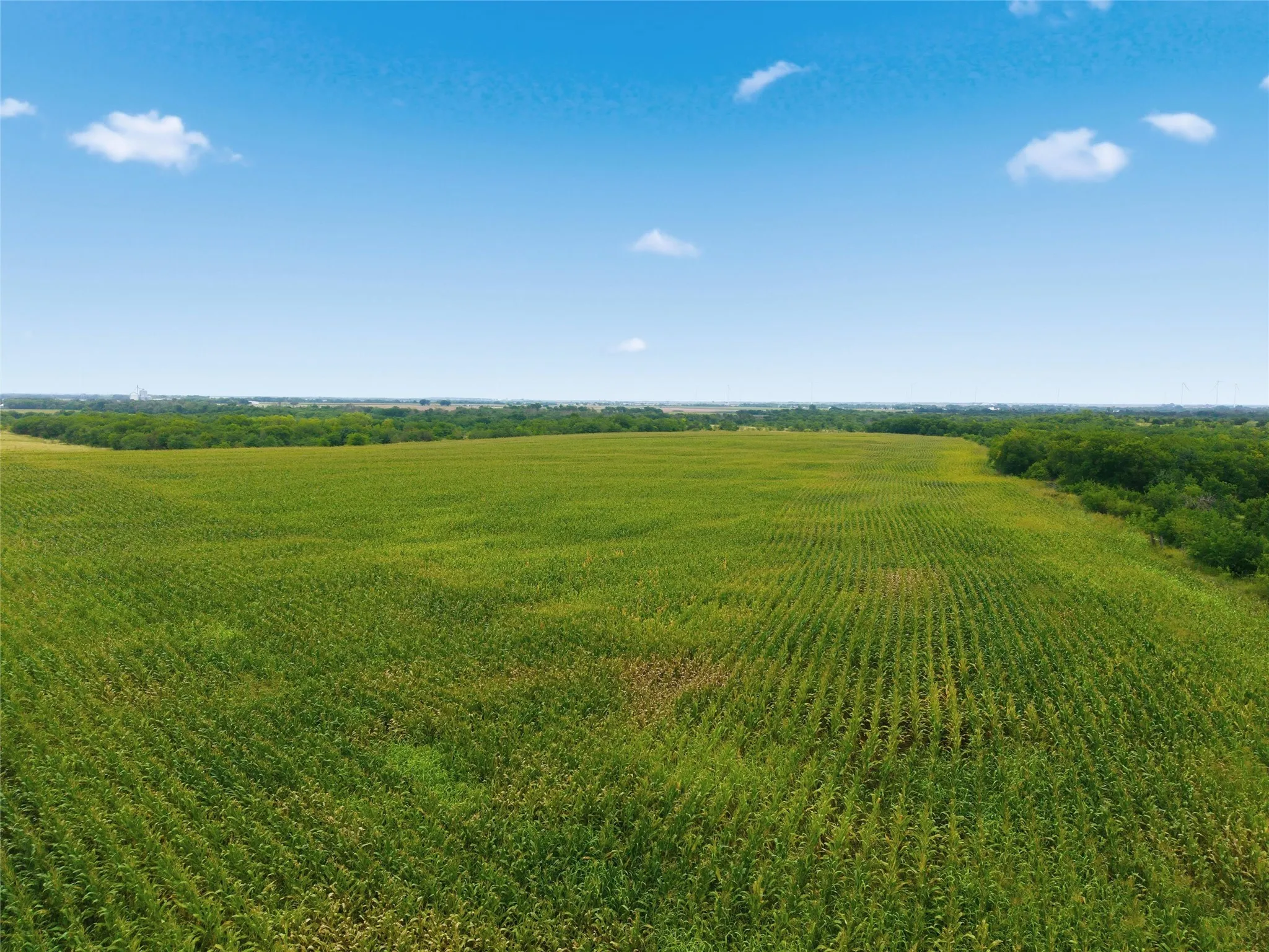 Unimproved Land For Sale in Hill County , TBD HCR 3165 Road, Abbott, Texas 76621, 0, 0, Garage spaces, 0 Sqft, built in 0, mls#21304638, Real Estate Agent in Abbott, Homes For Sale in Hill county, Homes For Sale in Abbott, Realtor in Abbott Texas, Real Estate Brokerage Independent Realty Texas, Luminita Cordes Realtor