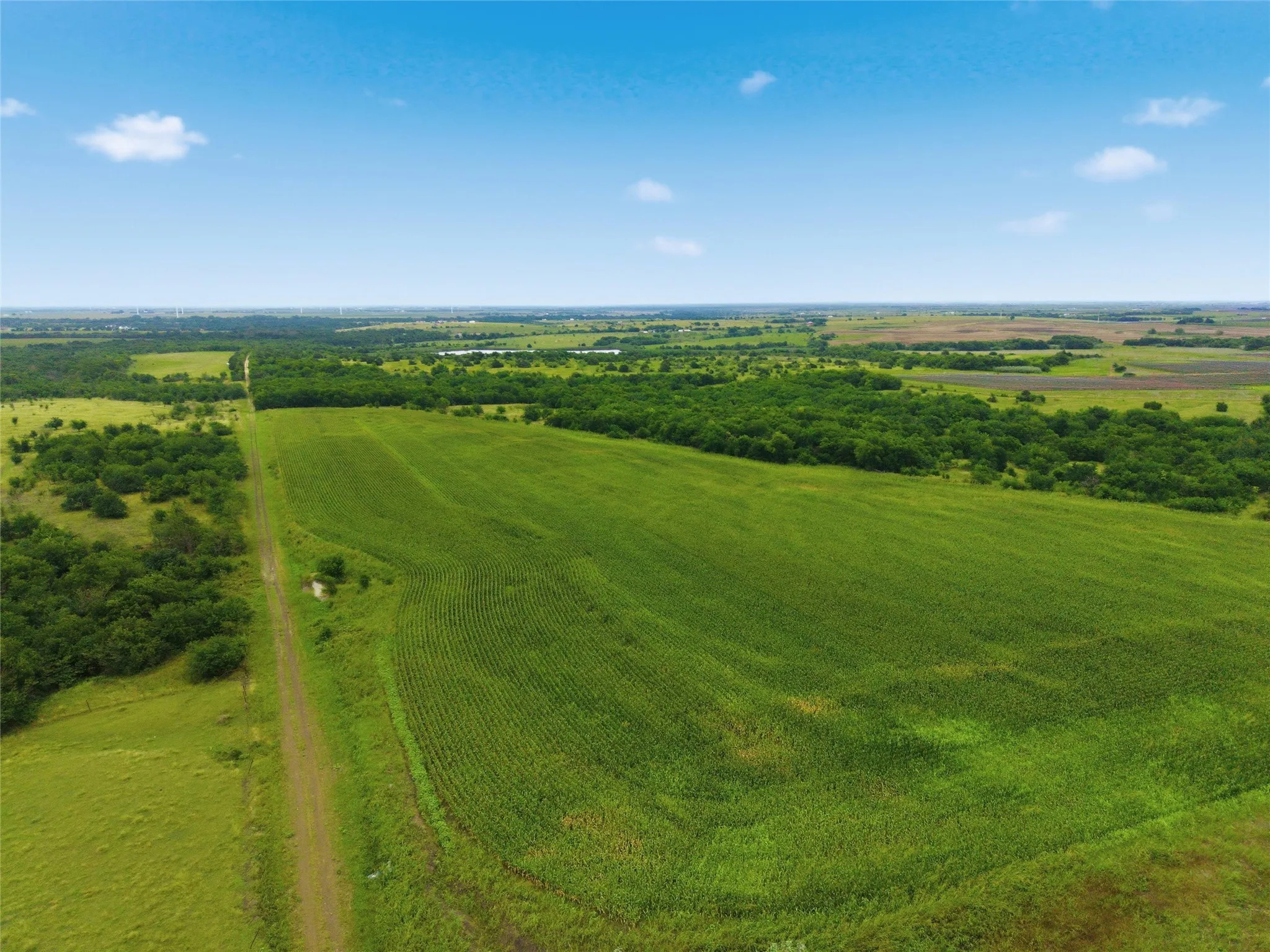 Unimproved Land For Sale in Hill County , TBD HCR 3165 Road, Abbott, Texas 76621, 0, 0, Garage spaces, 0 Sqft, built in 0, mls#21304638, Real Estate Agent in Abbott, Homes For Sale in Hill county, Homes For Sale in Abbott, Realtor in Abbott Texas, Real Estate Brokerage Independent Realty Texas, Luminita Cordes Realtor