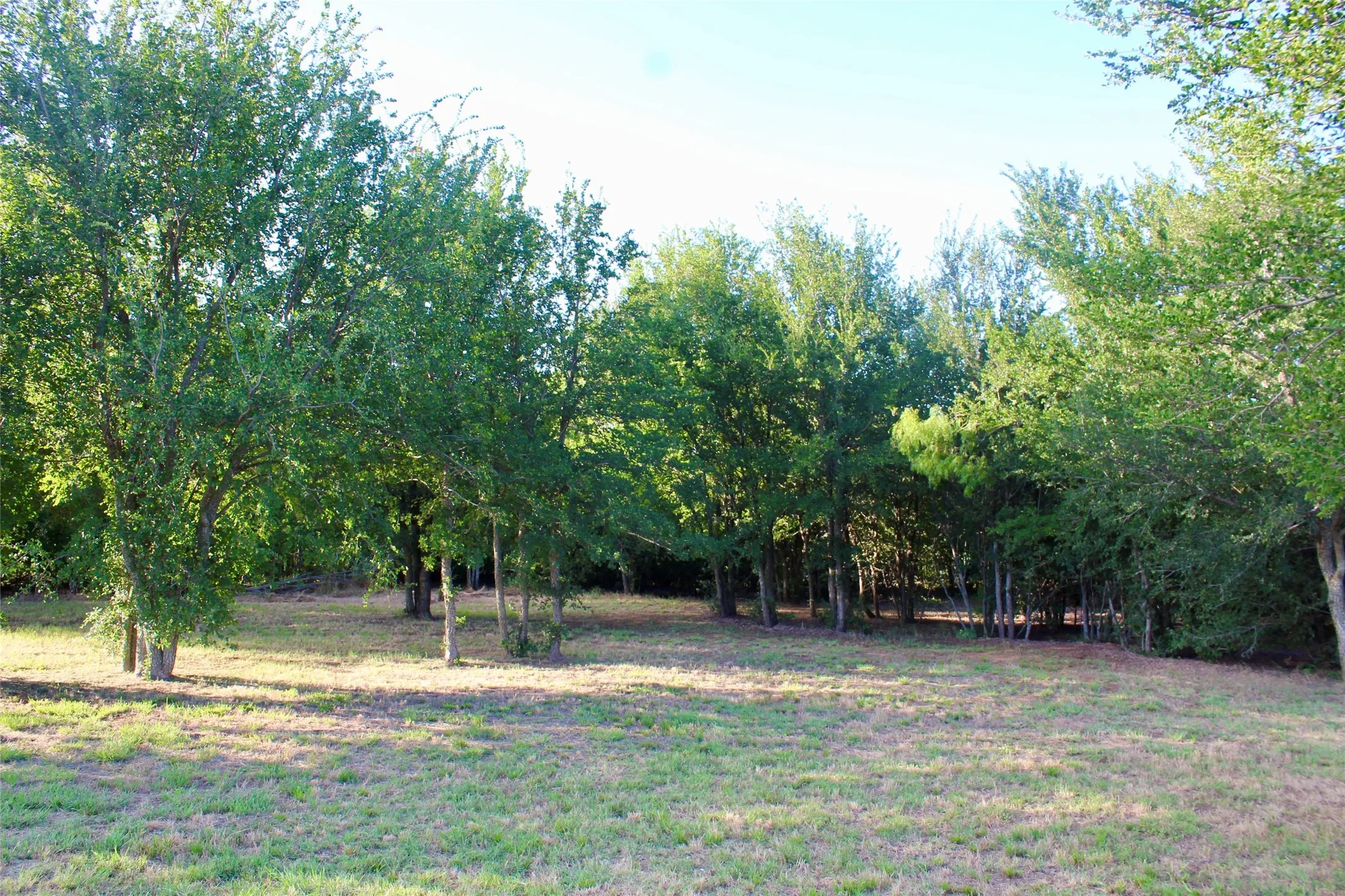 lot 41
