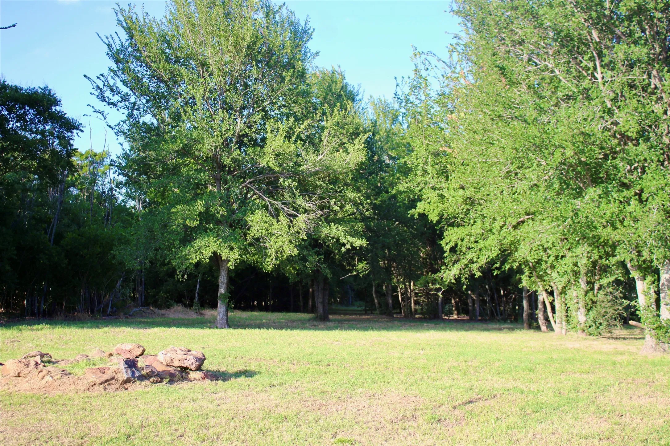 lot 41