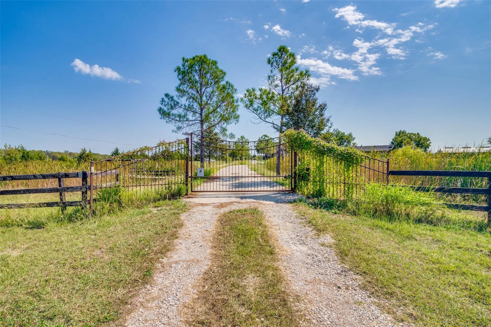Single Family Residence For Rent in Kaufman County , 17700 Fm 548, Forney, Texas 75126, 4 Bedroom, 3 Bathroom, 3 Garage spaces, 2,603 Sqft, built in 1985, mls#21278852, Real Estate Agent in Forney, Homes For Rent in Kaufman county, Homes For Rent in Forney, Realtor in Forney Texas, Real Estate Brokerage Independent Realty Texas, Luminita Cordes Realtor