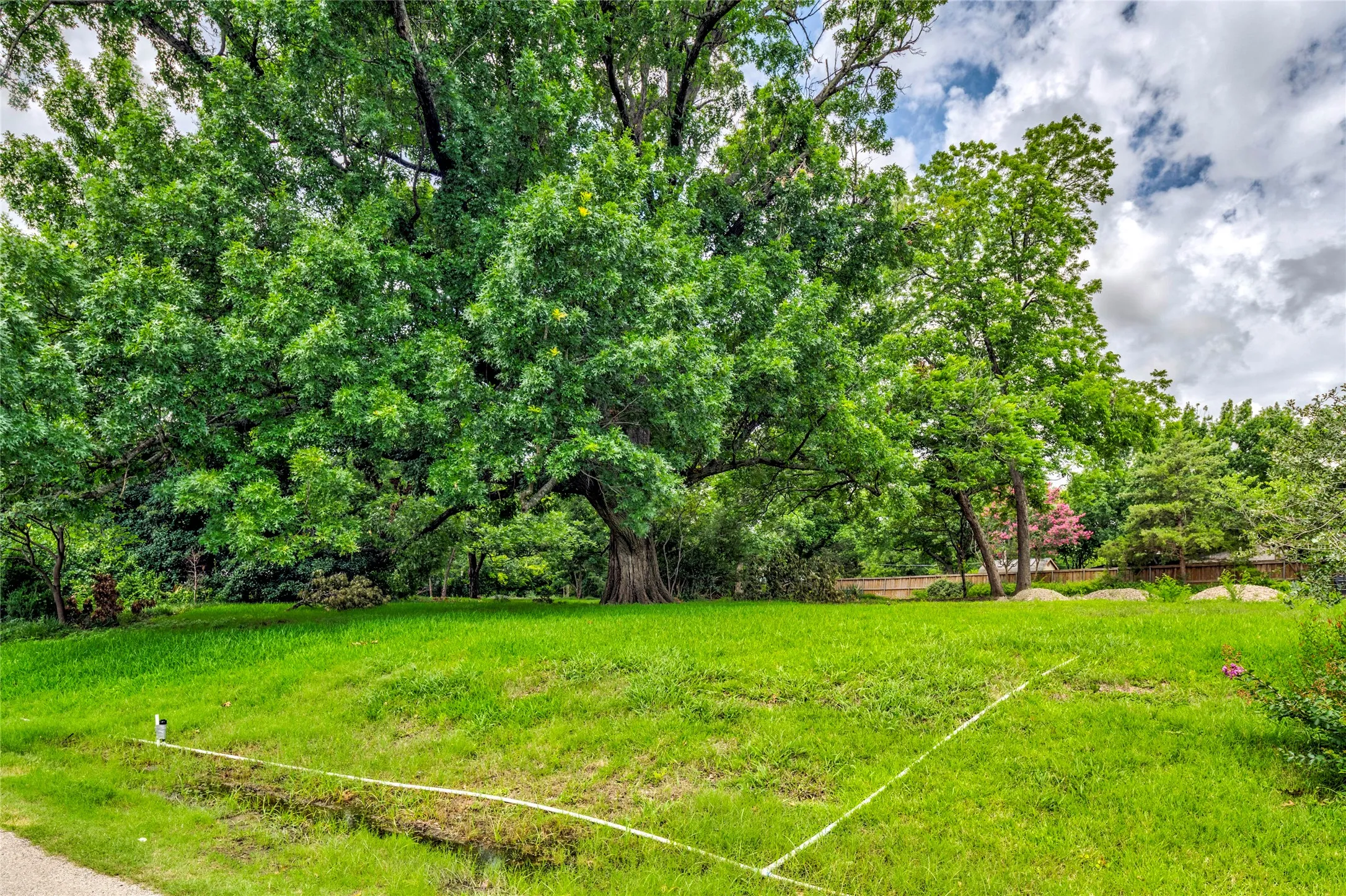 Expansive green lawn with mature trees and a partial wooden fence