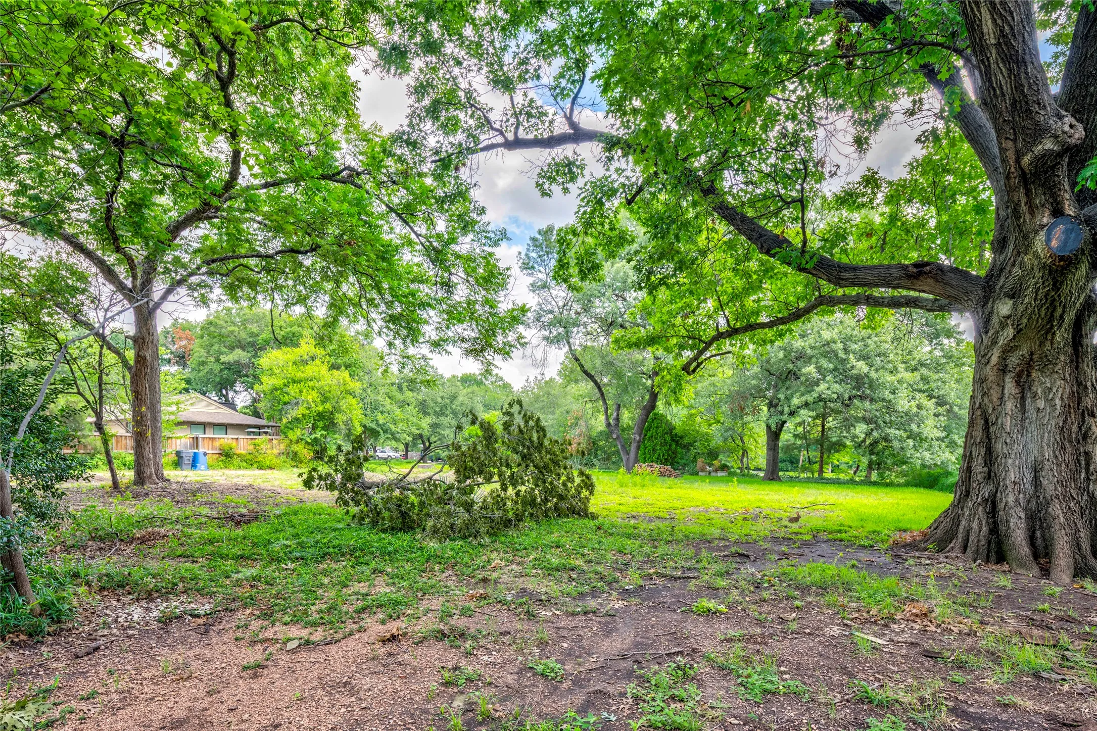 Expansive outdoor space featuring mature trees, a partially cleared area, and a lush green lawn