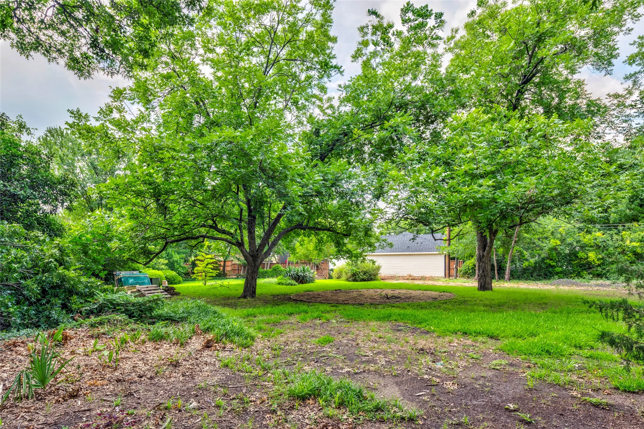 Expansive green space featuring two prominent mature trees with lush canopies