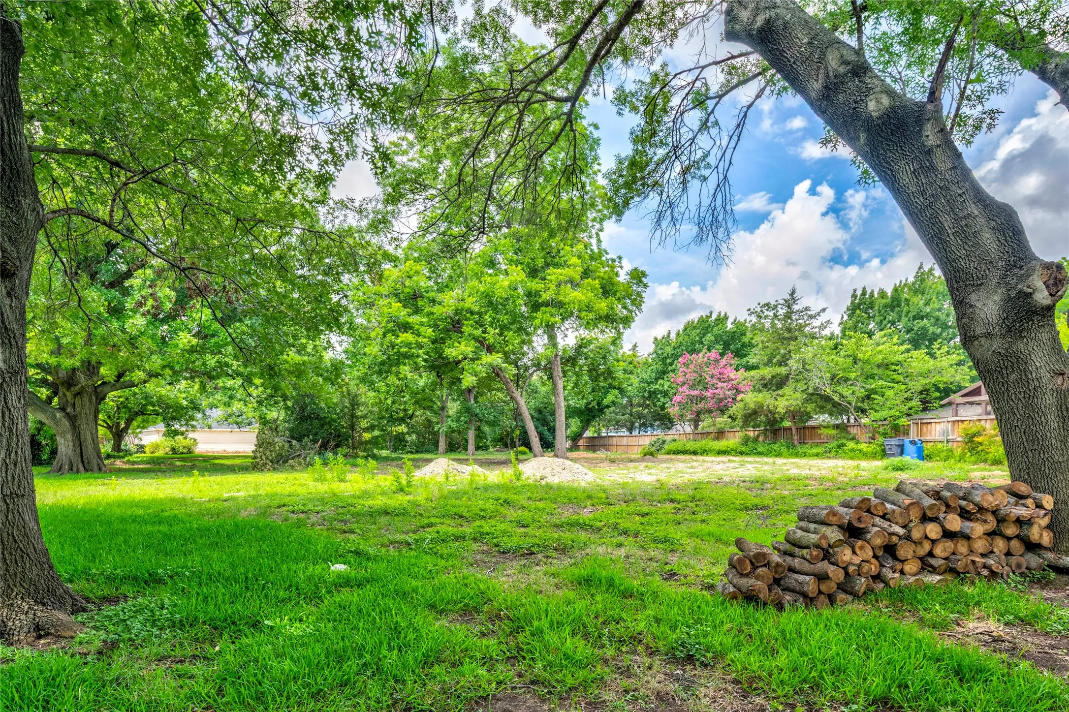Expansive lot featuring mature trees with lush green foliage, a cleared central area, and a privacy fence bordering the rear