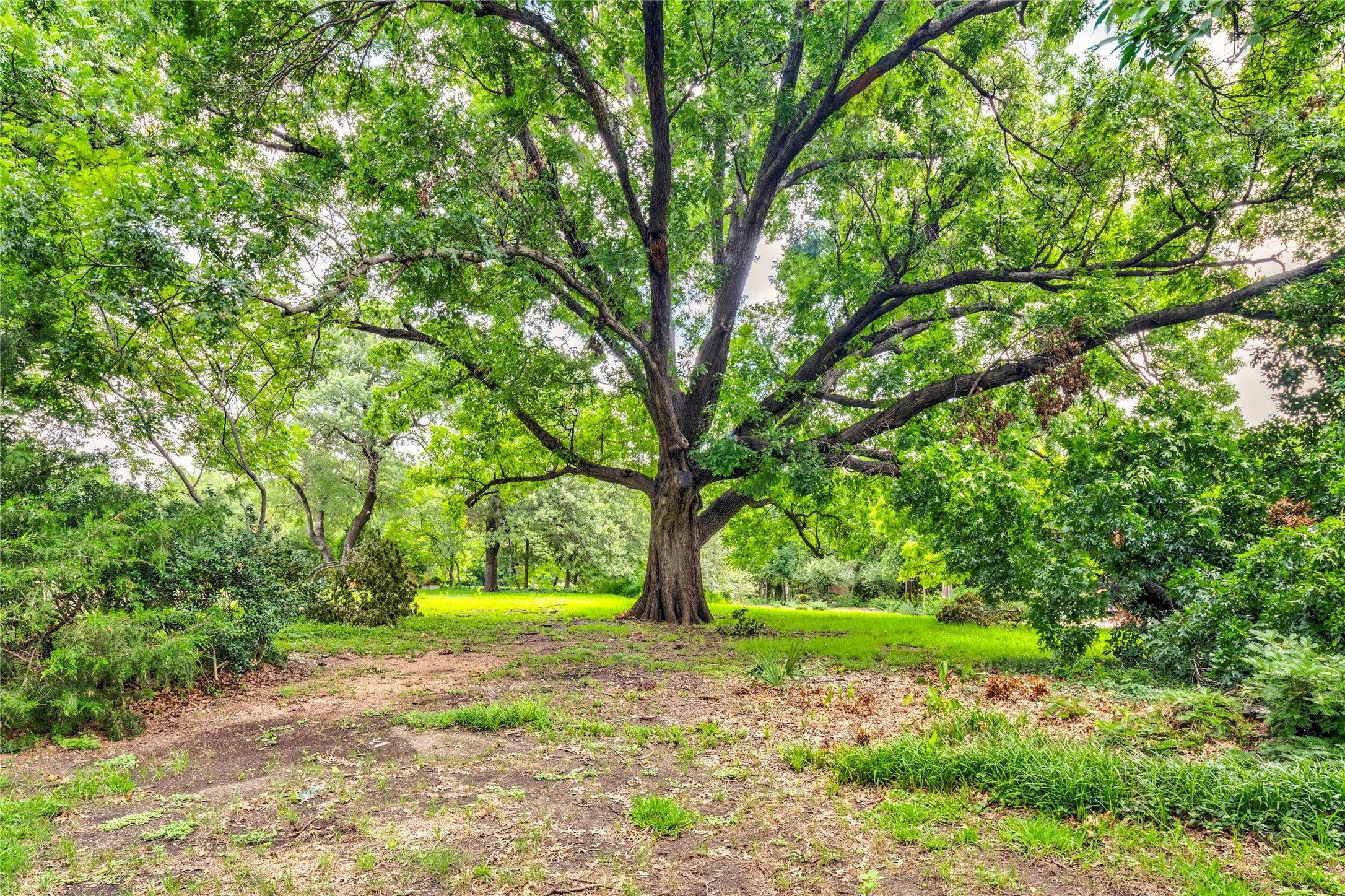 Unimproved Land For Sale in Dallas County , 1539 Bella Vista Drive, Dallas, Texas 75218, 0, 0, Garage spaces, 0 Sqft, built in 1948, mls#21305850, Real Estate Agent in Dallas, Homes For Sale in Dallas county, Homes For Sale in Dallas, Realtor in Dallas Texas, Real Estate Brokerage Independent Realty Texas, Luminita Cordes Realtor