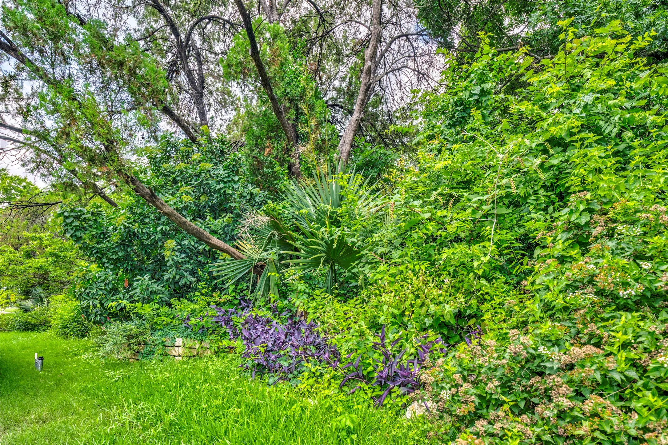 Unimproved Land For Sale in Dallas County , 1539 Bella Vista Drive, Dallas, Texas 75218, 0, 0, Garage spaces, 0 Sqft, built in 1948, mls#21305850, Real Estate Agent in Dallas, Homes For Sale in Dallas county, Homes For Sale in Dallas, Realtor in Dallas Texas, Real Estate Brokerage Independent Realty Texas, Luminita Cordes Realtor