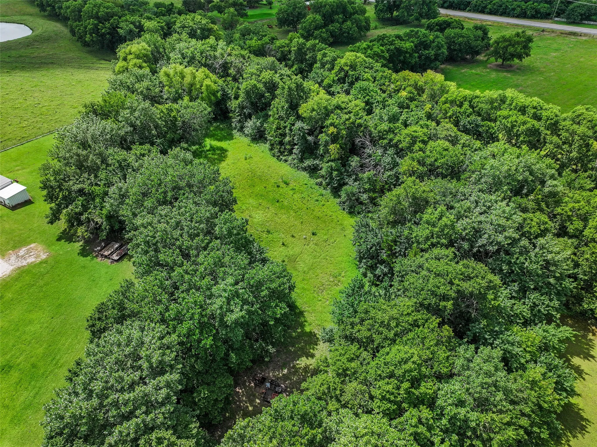 Woods behind the house