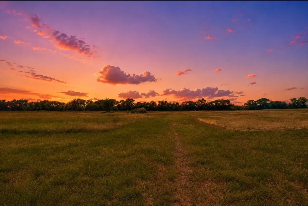 Single Family Residence For Sale in Fannin County , 1948 County Road 1255, Savoy, Texas 75479, 4 Bedroom, 2 Bathroom, 2 Garage spaces, 1,823 Sqft, built in 2025, mls#21297777, Real Estate Agent in Savoy, Homes For Sale in Fannin county, Homes For Sale in Savoy, Realtor in Savoy Texas, Real Estate Brokerage Independent Realty Texas, Luminita Cordes Realtor