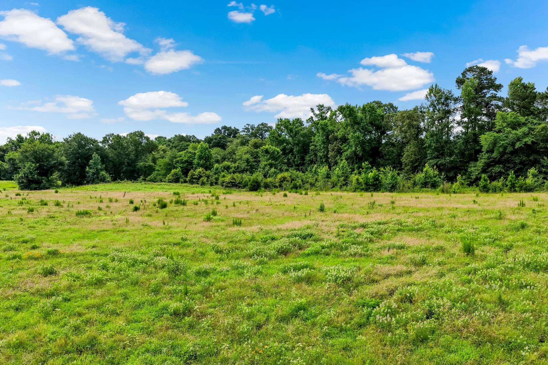 Unimproved Land For Sale in Titus County , TBD CR 1540, Mt Pleasant, Texas 75455, 0, 0, Garage spaces, 0 Sqft, built in 0, mls#21305890, Real Estate Agent in Mt Pleasant, Homes For Sale in Titus county, Homes For Sale in Mt Pleasant, Realtor in Mt Pleasant Texas, Real Estate Brokerage Independent Realty Texas, Luminita Cordes Realtor