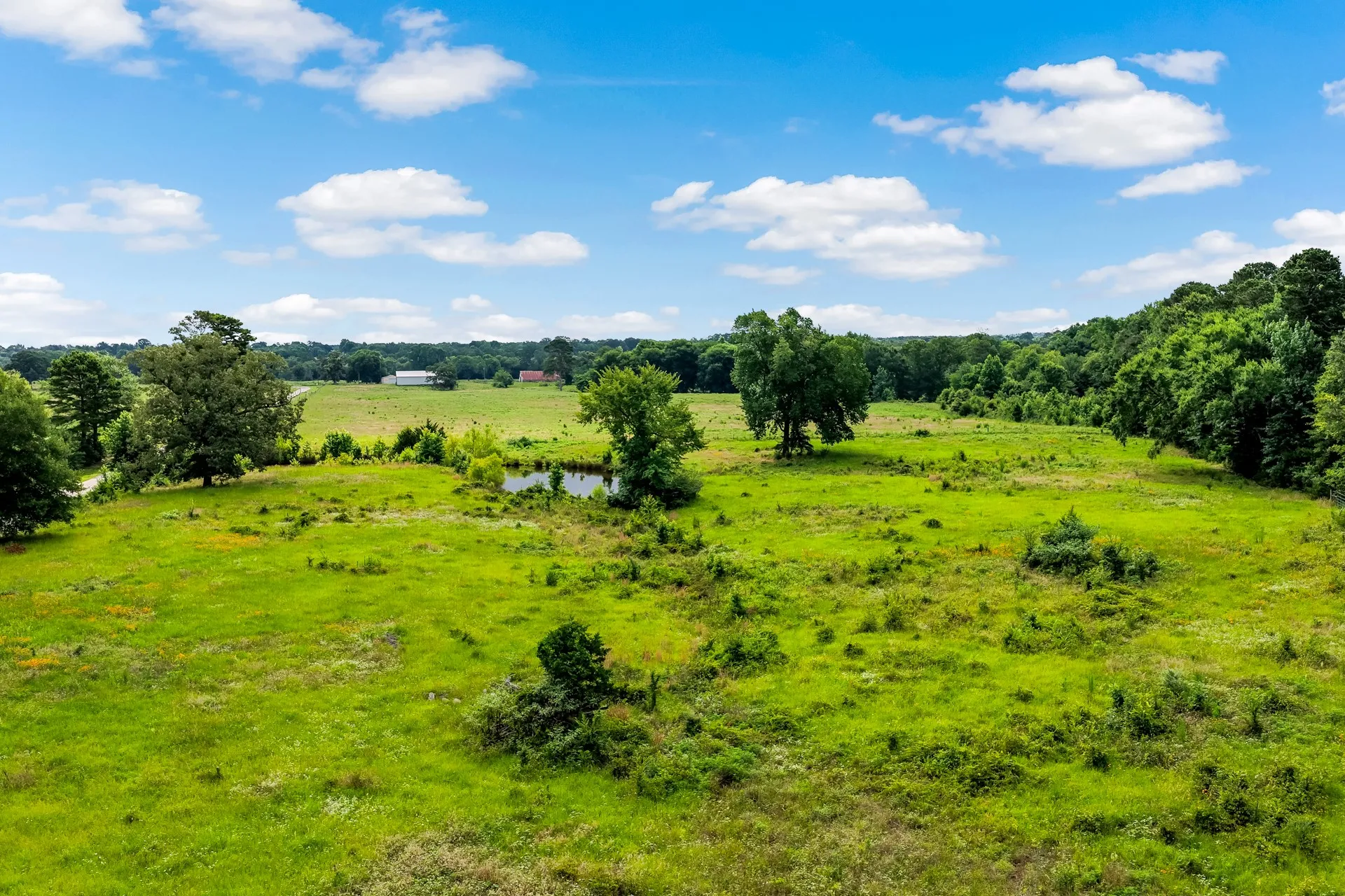 Unimproved Land For Sale in Titus County , TBD CR 1540, Mt Pleasant, Texas 75455, 0, 0, Garage spaces, 0 Sqft, built in 0, mls#21305890, Real Estate Agent in Mt Pleasant, Homes For Sale in Titus county, Homes For Sale in Mt Pleasant, Realtor in Mt Pleasant Texas, Real Estate Brokerage Independent Realty Texas, Luminita Cordes Realtor