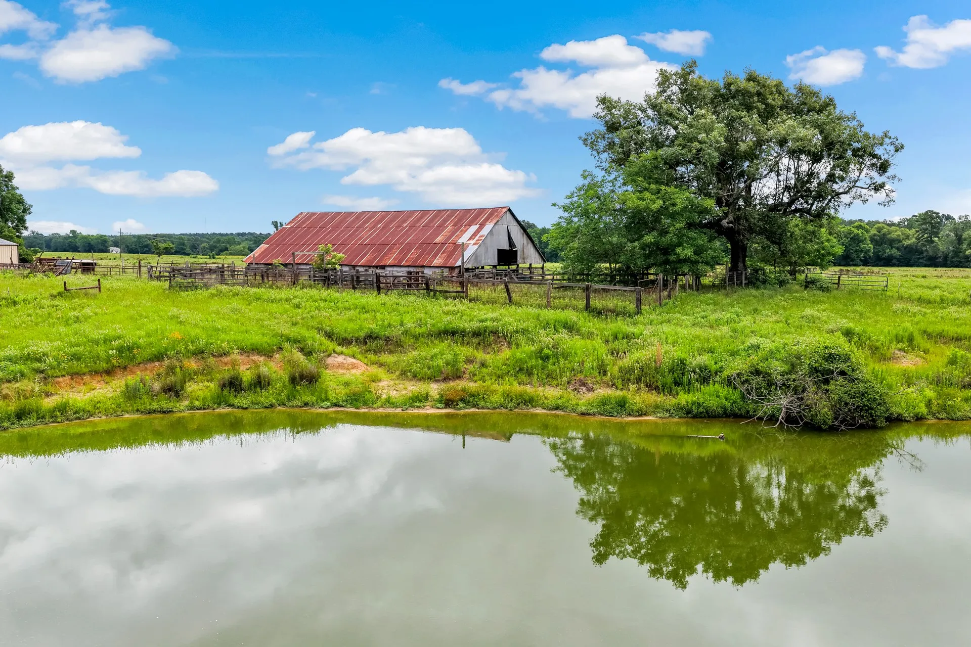 Unimproved Land For Sale in Titus County , TBD CR 1540, Mt Pleasant, Texas 75455, 0, 0, Garage spaces, 0 Sqft, built in 0, mls#21305890, Real Estate Agent in Mt Pleasant, Homes For Sale in Titus county, Homes For Sale in Mt Pleasant, Realtor in Mt Pleasant Texas, Real Estate Brokerage Independent Realty Texas, Luminita Cordes Realtor