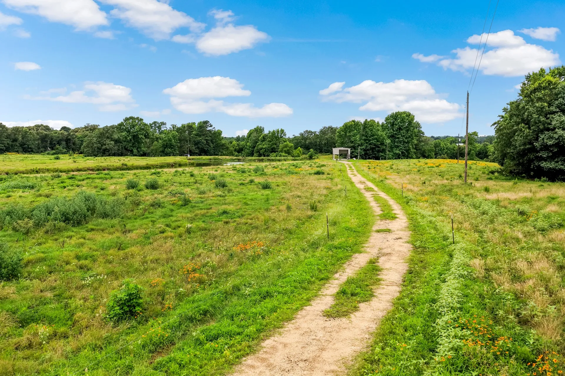 Unimproved Land For Sale in Titus County , TBD CR 1540, Mt Pleasant, Texas 75455, 0, 0, Garage spaces, 0 Sqft, built in 0, mls#21305890, Real Estate Agent in Mt Pleasant, Homes For Sale in Titus county, Homes For Sale in Mt Pleasant, Realtor in Mt Pleasant Texas, Real Estate Brokerage Independent Realty Texas, Luminita Cordes Realtor