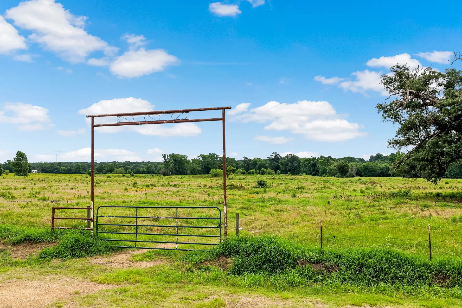 Unimproved Land For Sale in Titus County , TBD CR 1540, Mt Pleasant, Texas 75455, 0, 0, Garage spaces, 0 Sqft, built in 0, mls#21305890, Real Estate Agent in Mt Pleasant, Homes For Sale in Titus county, Homes For Sale in Mt Pleasant, Realtor in Mt Pleasant Texas, Real Estate Brokerage Independent Realty Texas, Luminita Cordes Realtor