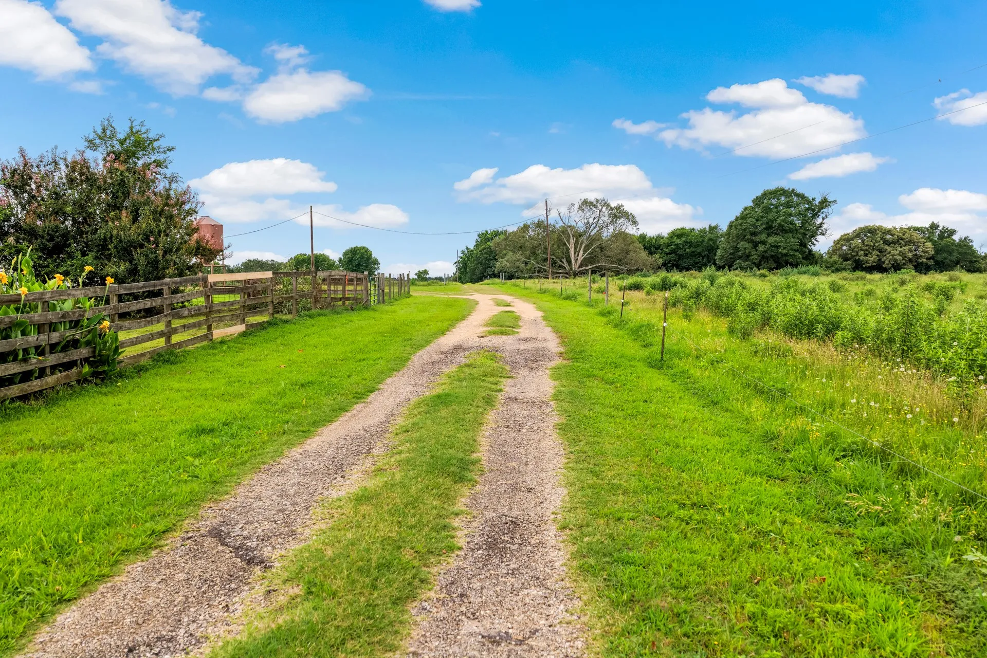 Unimproved Land For Sale in Titus County , TBD CR 1540, Mt Pleasant, Texas 75455, 0, 0, Garage spaces, 0 Sqft, built in 0, mls#21305890, Real Estate Agent in Mt Pleasant, Homes For Sale in Titus county, Homes For Sale in Mt Pleasant, Realtor in Mt Pleasant Texas, Real Estate Brokerage Independent Realty Texas, Luminita Cordes Realtor