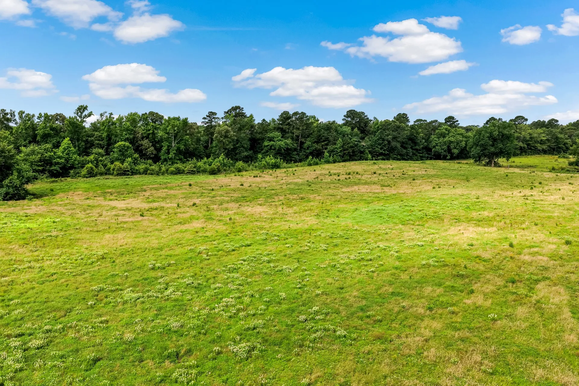 Unimproved Land For Sale in Titus County , TBD CR 1540, Mt Pleasant, Texas 75455, 0, 0, Garage spaces, 0 Sqft, built in 0, mls#21305890, Real Estate Agent in Mt Pleasant, Homes For Sale in Titus county, Homes For Sale in Mt Pleasant, Realtor in Mt Pleasant Texas, Real Estate Brokerage Independent Realty Texas, Luminita Cordes Realtor
