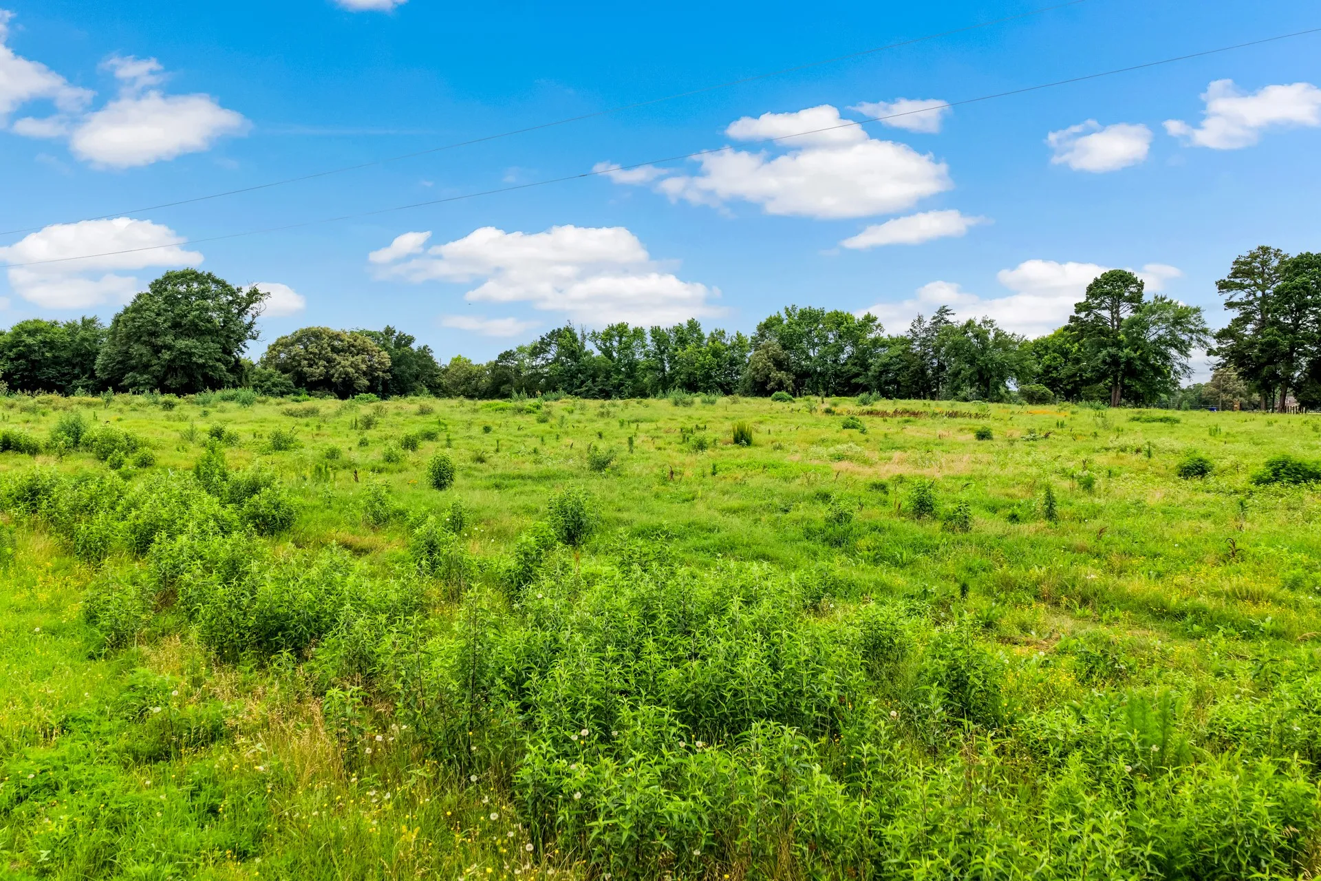 Unimproved Land For Sale in Titus County , TBD CR 1540, Mt Pleasant, Texas 75455, 0, 0, Garage spaces, 0 Sqft, built in 0, mls#21305890, Real Estate Agent in Mt Pleasant, Homes For Sale in Titus county, Homes For Sale in Mt Pleasant, Realtor in Mt Pleasant Texas, Real Estate Brokerage Independent Realty Texas, Luminita Cordes Realtor
