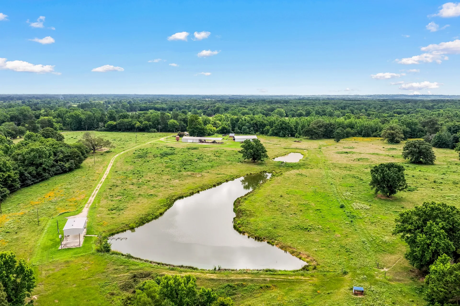 Unimproved Land For Sale in Titus County , TBD CR 1540, Mt Pleasant, Texas 75455, 0, 0, Garage spaces, 0 Sqft, built in 0, mls#21305890, Real Estate Agent in Mt Pleasant, Homes For Sale in Titus county, Homes For Sale in Mt Pleasant, Realtor in Mt Pleasant Texas, Real Estate Brokerage Independent Realty Texas, Luminita Cordes Realtor