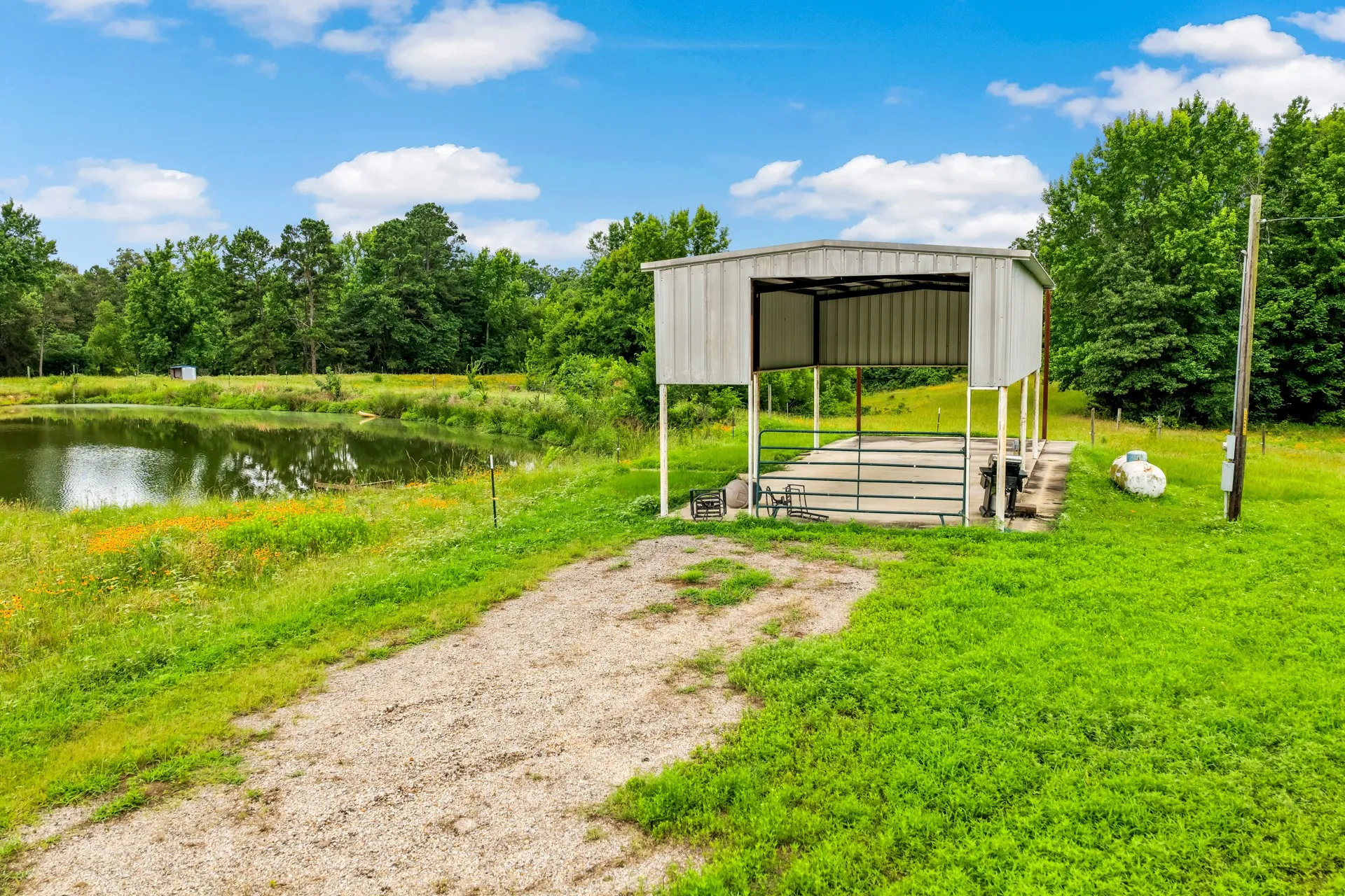 Unimproved Land For Sale in Titus County , TBD CR 1540, Mt Pleasant, Texas 75455, 0, 0, Garage spaces, 0 Sqft, built in 0, mls#21305890, Real Estate Agent in Mt Pleasant, Homes For Sale in Titus county, Homes For Sale in Mt Pleasant, Realtor in Mt Pleasant Texas, Real Estate Brokerage Independent Realty Texas, Luminita Cordes Realtor