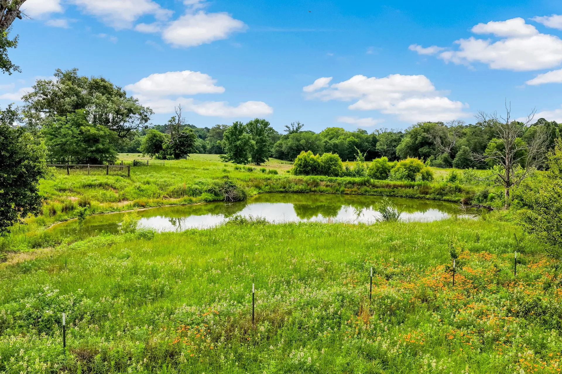 Unimproved Land For Sale in Titus County , TBD CR 1540, Mt Pleasant, Texas 75455, 0, 0, Garage spaces, 0 Sqft, built in 0, mls#21305890, Real Estate Agent in Mt Pleasant, Homes For Sale in Titus county, Homes For Sale in Mt Pleasant, Realtor in Mt Pleasant Texas, Real Estate Brokerage Independent Realty Texas, Luminita Cordes Realtor