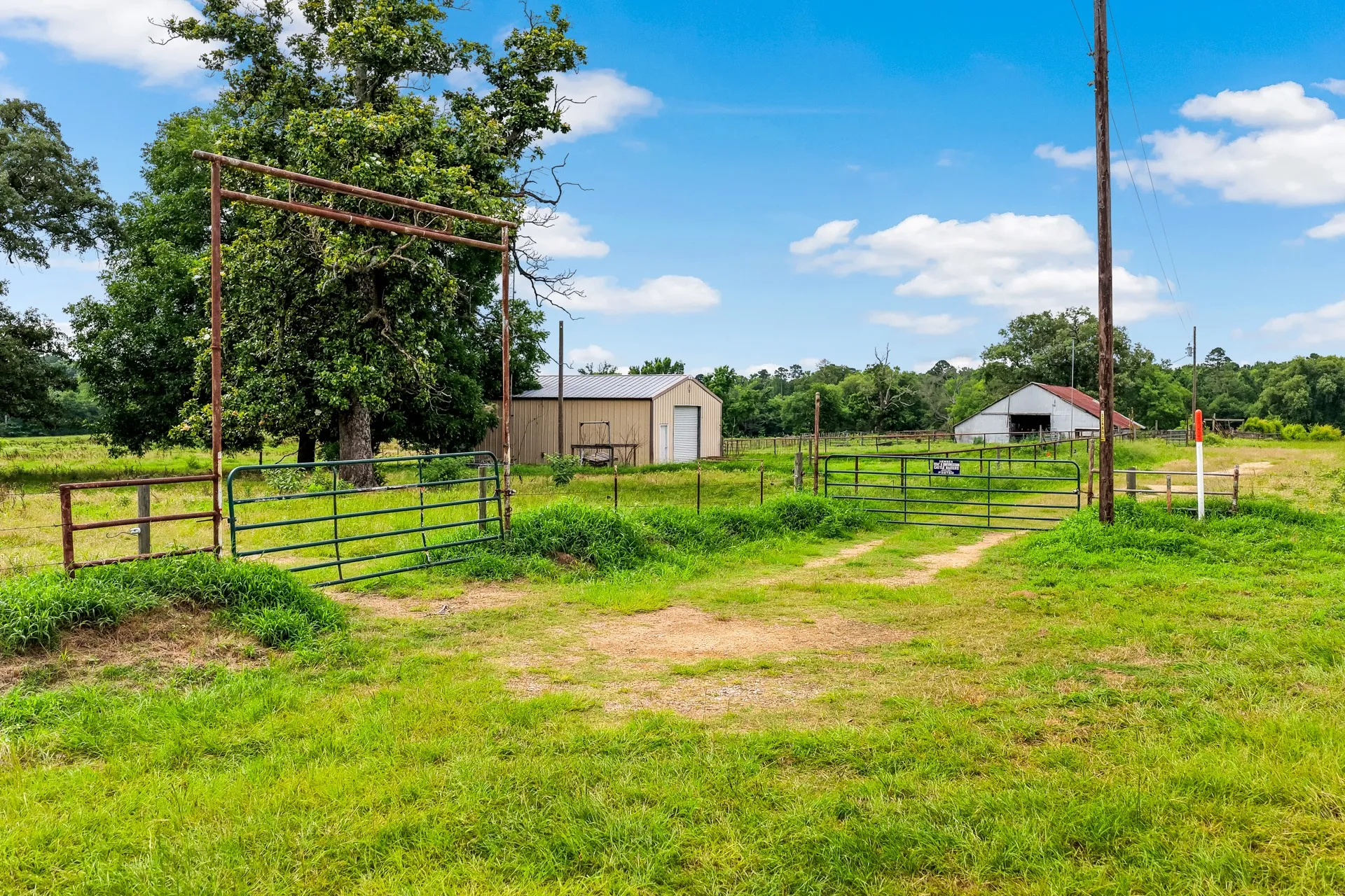 Unimproved Land For Sale in Titus County , TBD CR 1540, Mt Pleasant, Texas 75455, 0, 0, Garage spaces, 0 Sqft, built in 0, mls#21305890, Real Estate Agent in Mt Pleasant, Homes For Sale in Titus county, Homes For Sale in Mt Pleasant, Realtor in Mt Pleasant Texas, Real Estate Brokerage Independent Realty Texas, Luminita Cordes Realtor