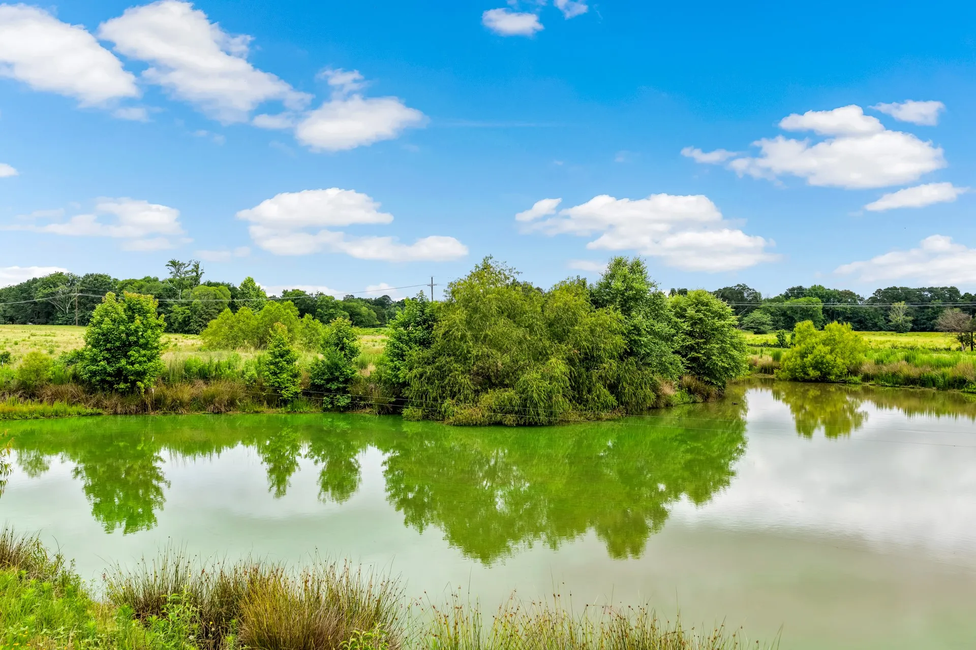 Unimproved Land For Sale in Titus County , TBD CR 1540, Mt Pleasant, Texas 75455, 0, 0, Garage spaces, 0 Sqft, built in 0, mls#21305890, Real Estate Agent in Mt Pleasant, Homes For Sale in Titus county, Homes For Sale in Mt Pleasant, Realtor in Mt Pleasant Texas, Real Estate Brokerage Independent Realty Texas, Luminita Cordes Realtor
