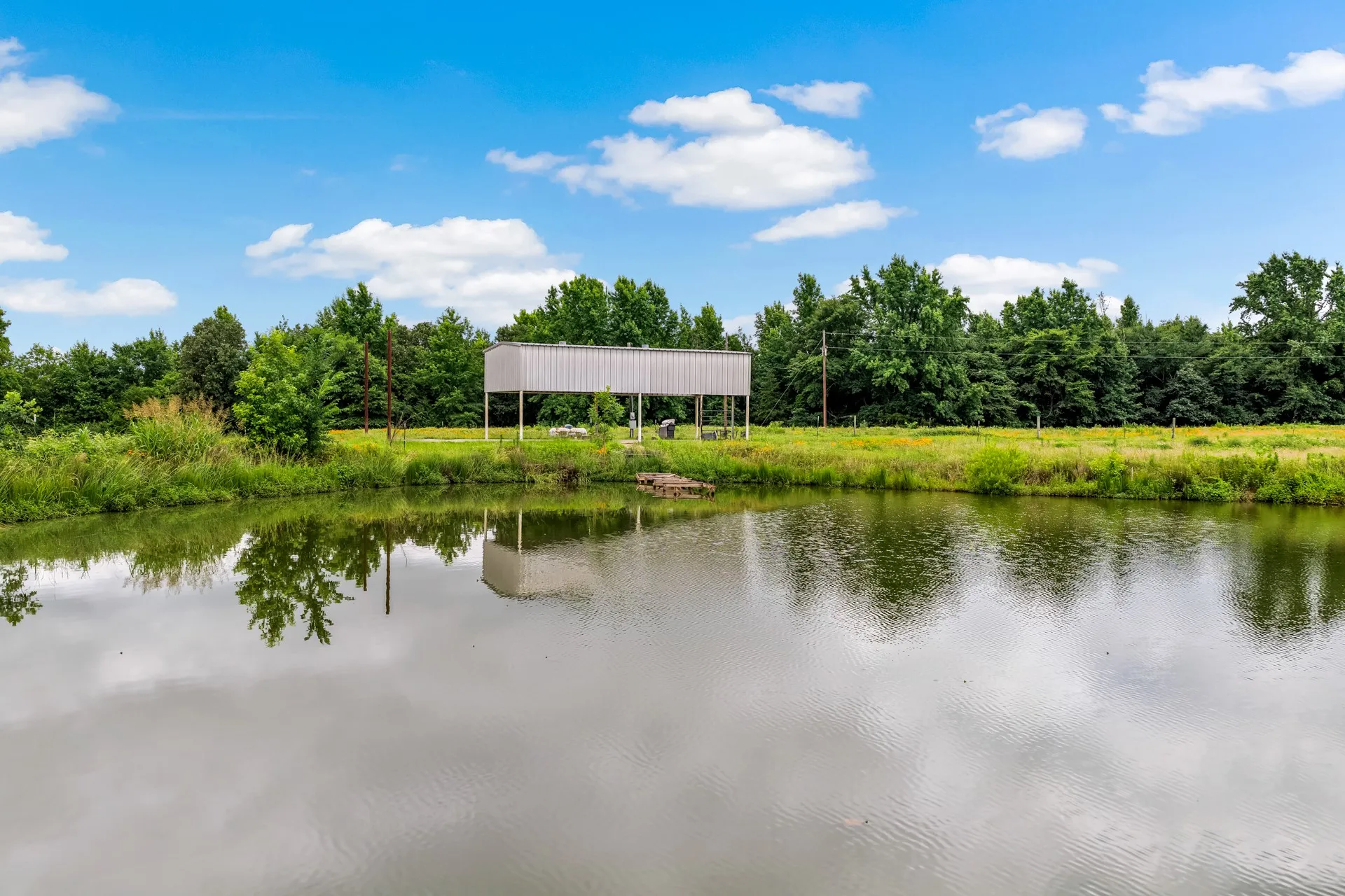 Unimproved Land For Sale in Titus County , TBD CR 1540, Mt Pleasant, Texas 75455, 0, 0, Garage spaces, 0 Sqft, built in 0, mls#21305890, Real Estate Agent in Mt Pleasant, Homes For Sale in Titus county, Homes For Sale in Mt Pleasant, Realtor in Mt Pleasant Texas, Real Estate Brokerage Independent Realty Texas, Luminita Cordes Realtor