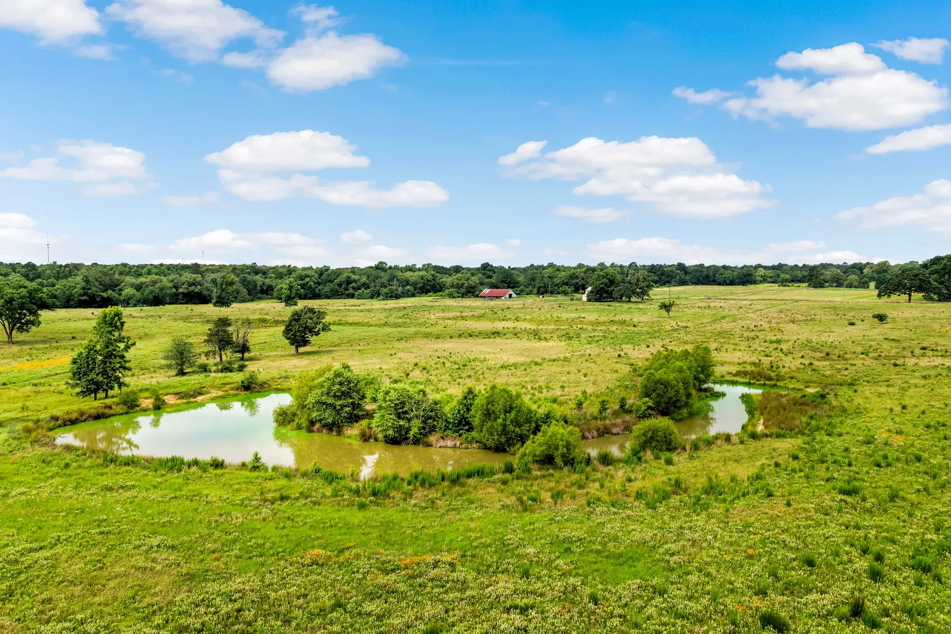 Unimproved Land For Sale in Titus County , TBD CR 1540, Mt Pleasant, Texas 75455, 0, 0, Garage spaces, 0 Sqft, built in 0, mls#21305890, Real Estate Agent in Mt Pleasant, Homes For Sale in Titus county, Homes For Sale in Mt Pleasant, Realtor in Mt Pleasant Texas, Real Estate Brokerage Independent Realty Texas, Luminita Cordes Realtor