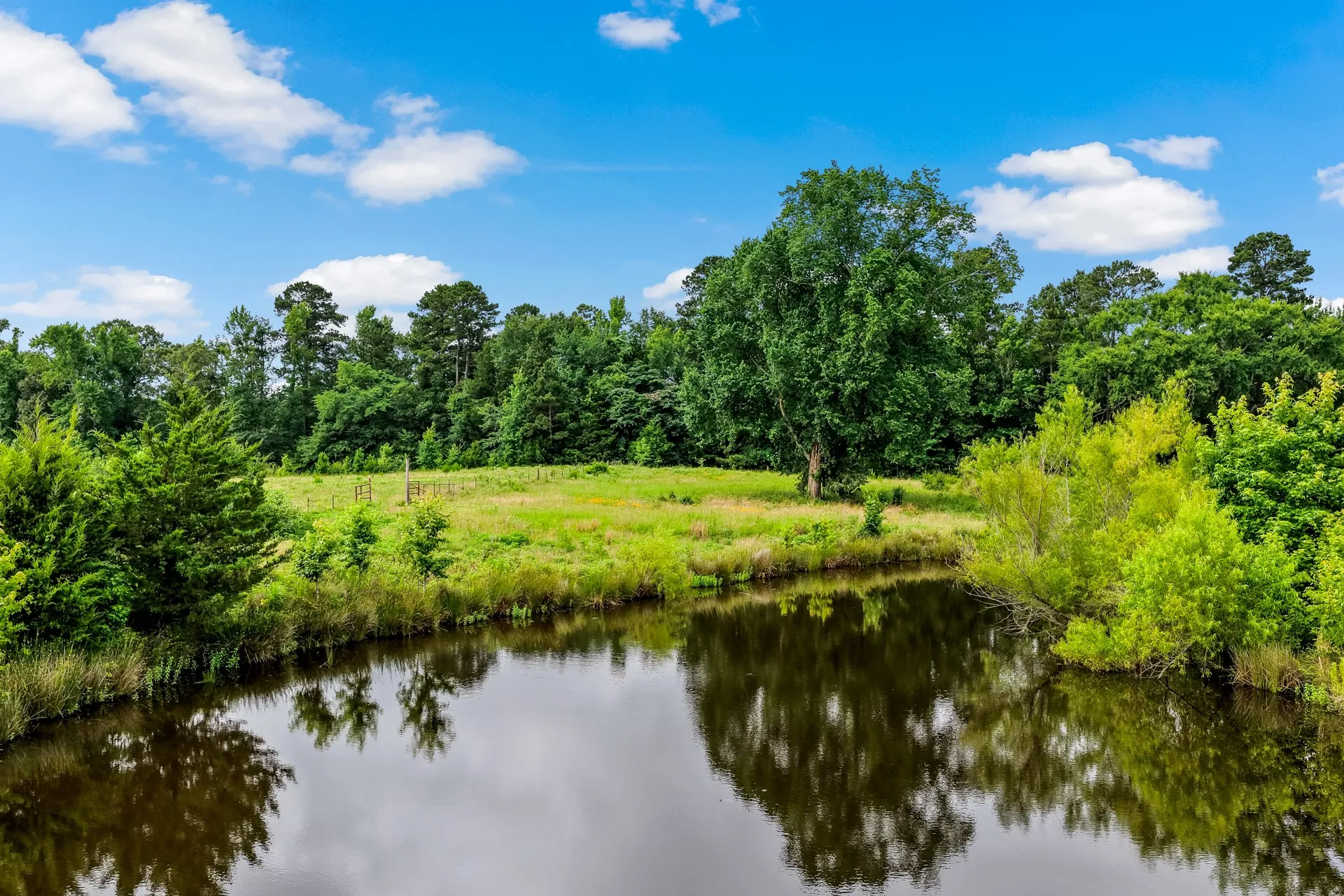 Unimproved Land For Sale in Titus County , TBD CR 1540, Mt Pleasant, Texas 75455, 0, 0, Garage spaces, 0 Sqft, built in 0, mls#21305890, Real Estate Agent in Mt Pleasant, Homes For Sale in Titus county, Homes For Sale in Mt Pleasant, Realtor in Mt Pleasant Texas, Real Estate Brokerage Independent Realty Texas, Luminita Cordes Realtor