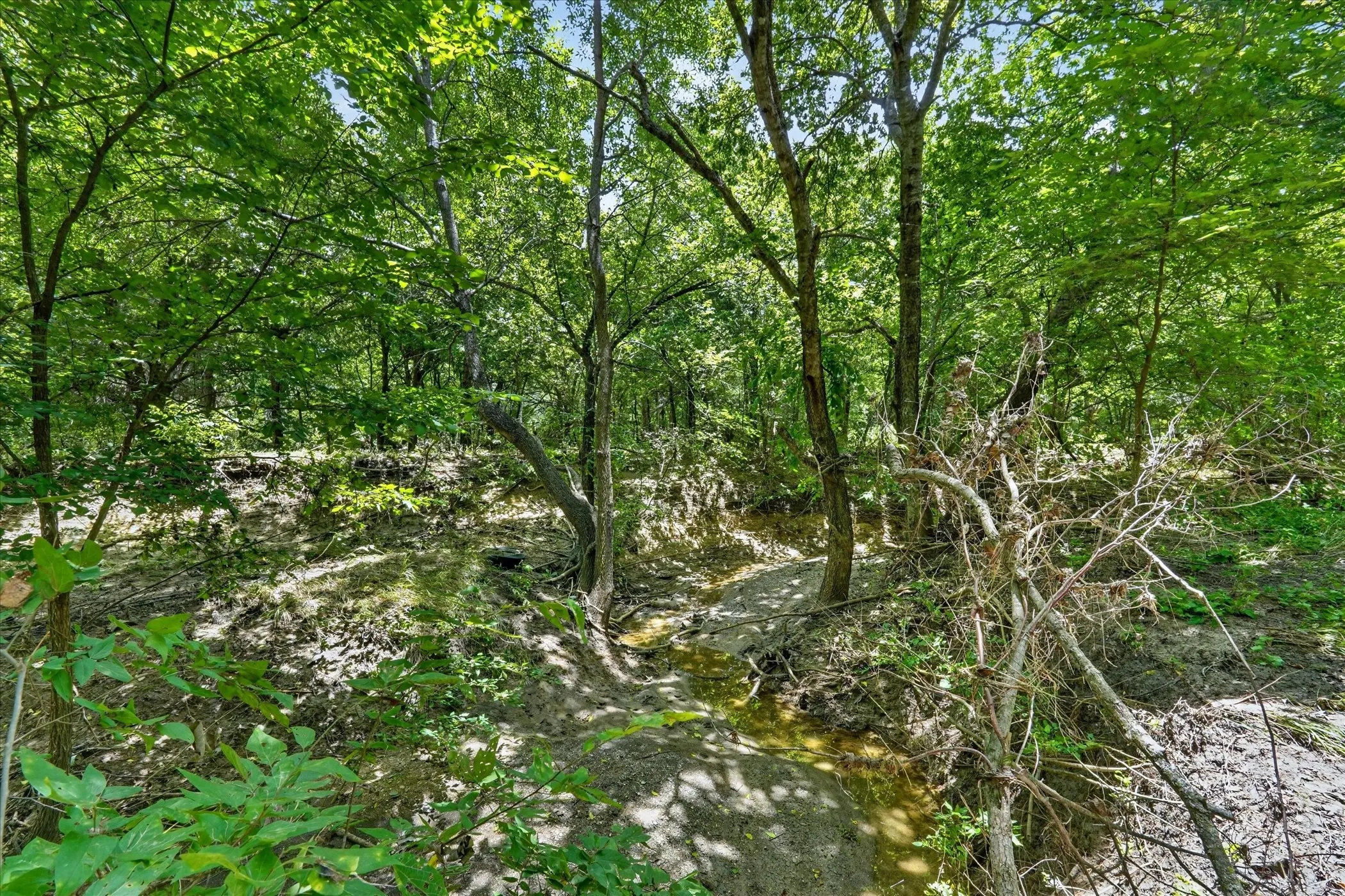 Wooded land featuring a natural stream, mature trees, and dense foliage