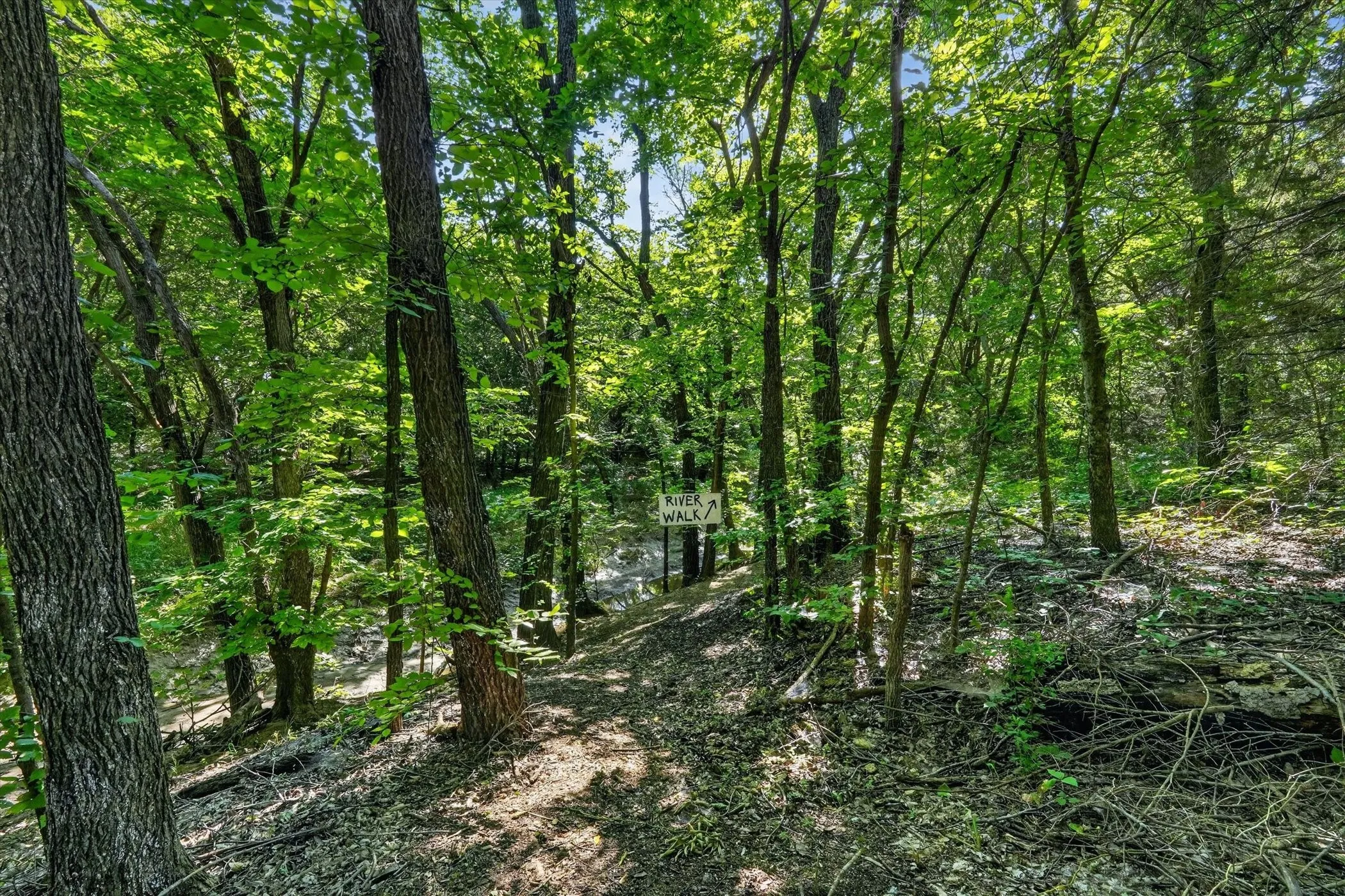 Wooded property featuring mature trees and a natural creek bed
