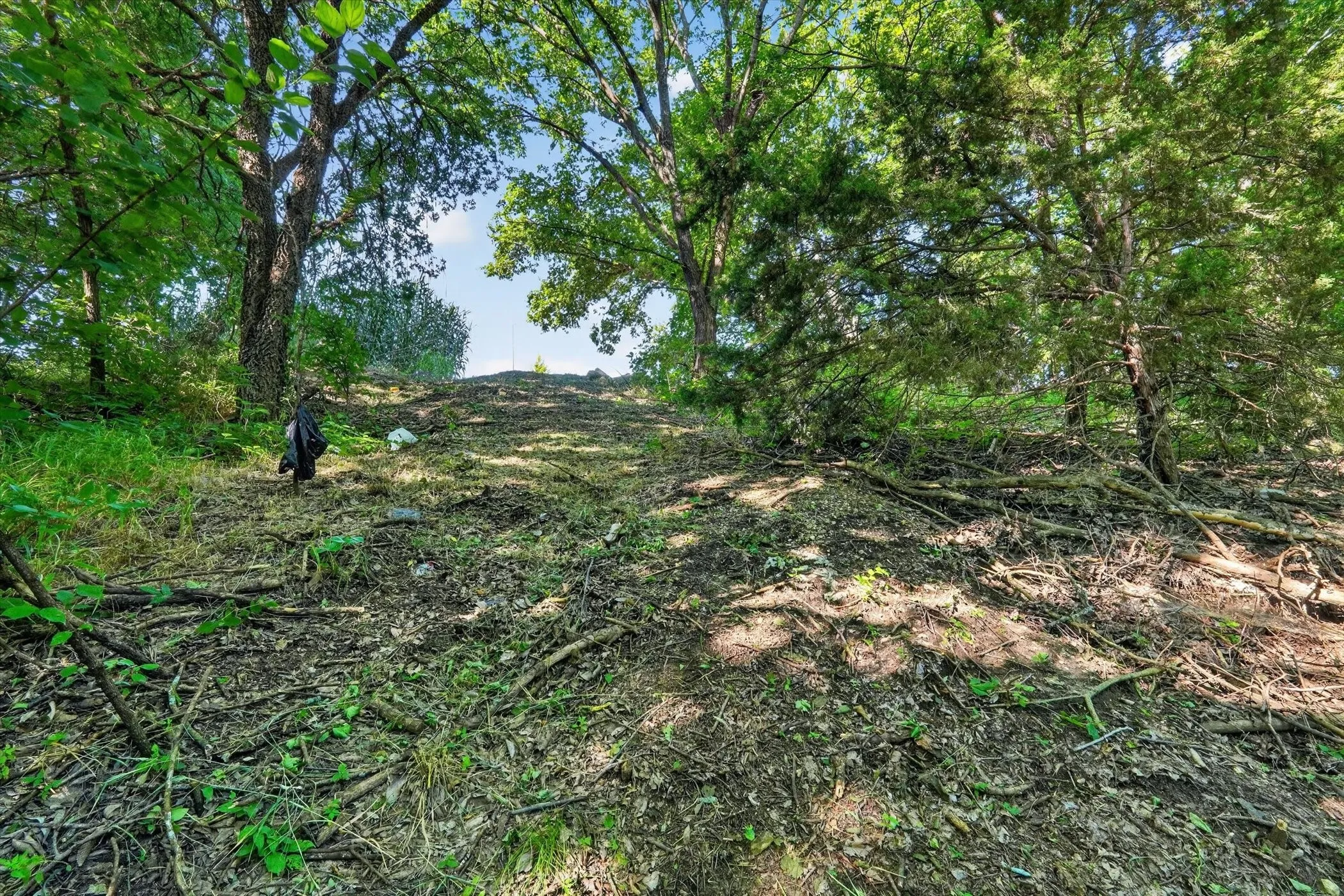 Wooded lot with mature trees and natural ground cover