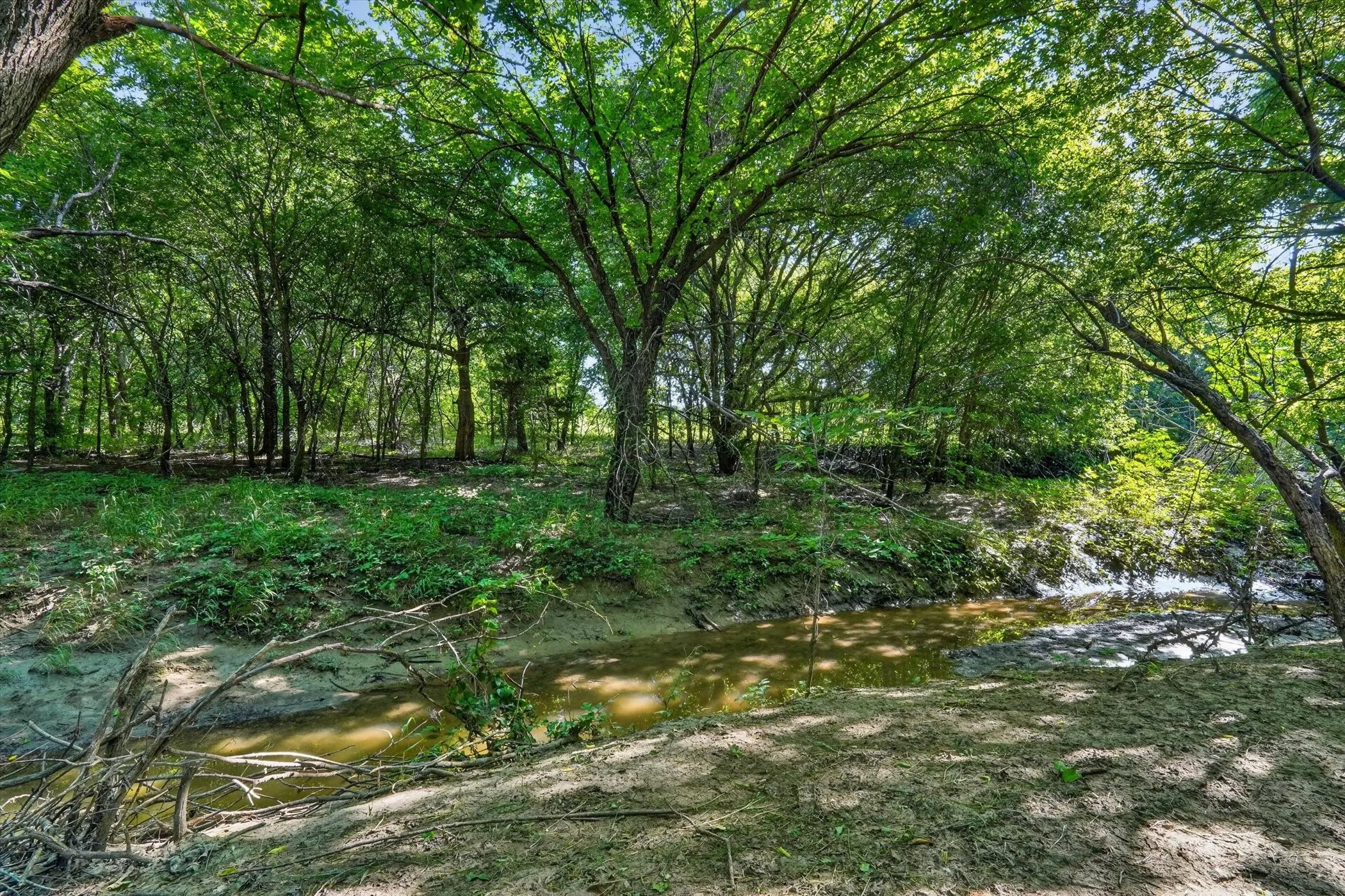 Wooded property featuring mature trees and a natural creek bed