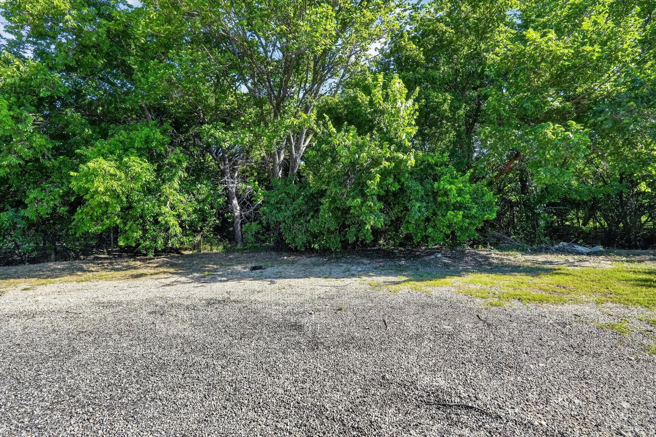 Wooded landscape with mature trees, lush foliage, and natural ground cover