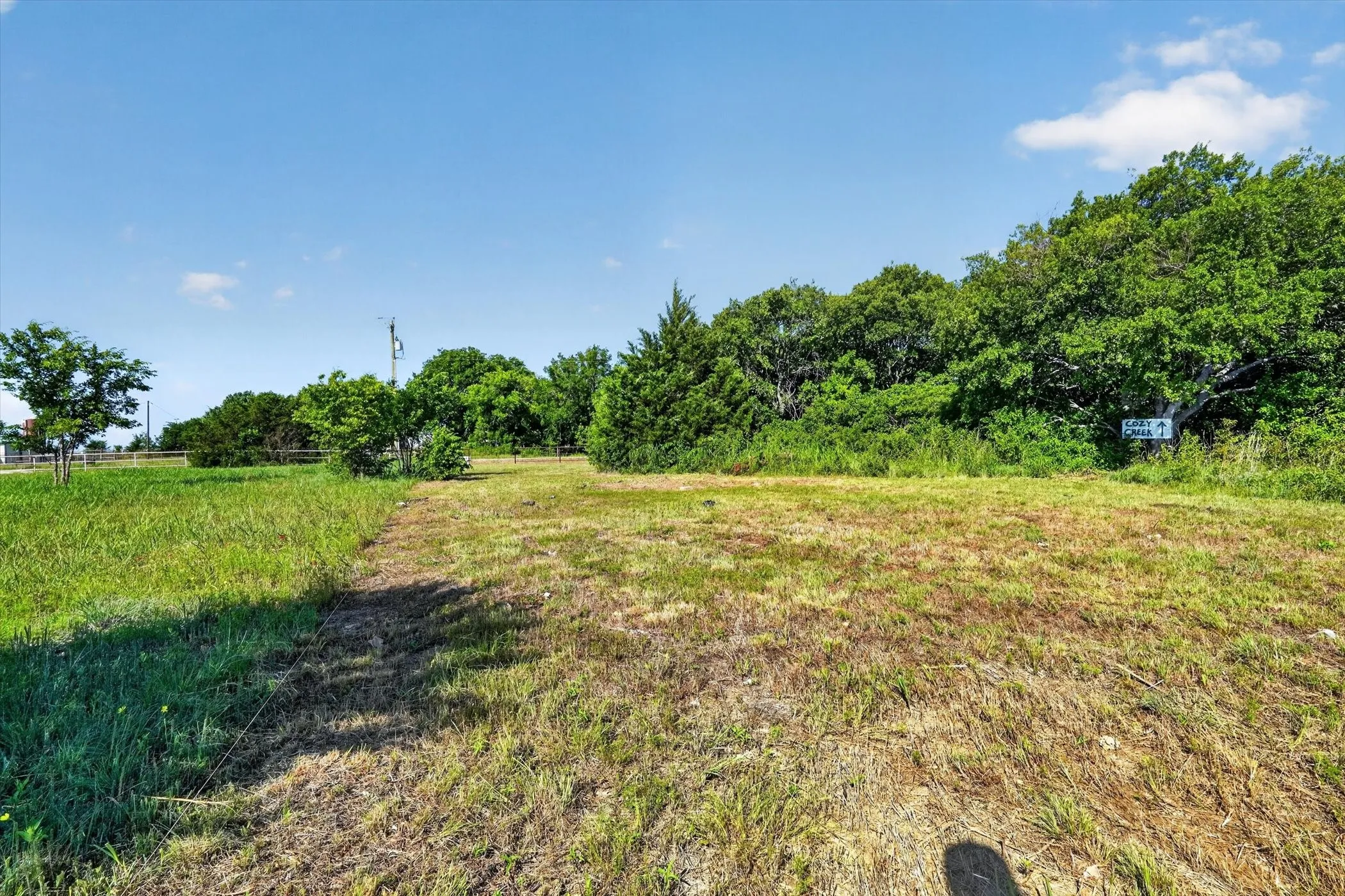 Wooded acreage featuring mature trees and natural ground cover