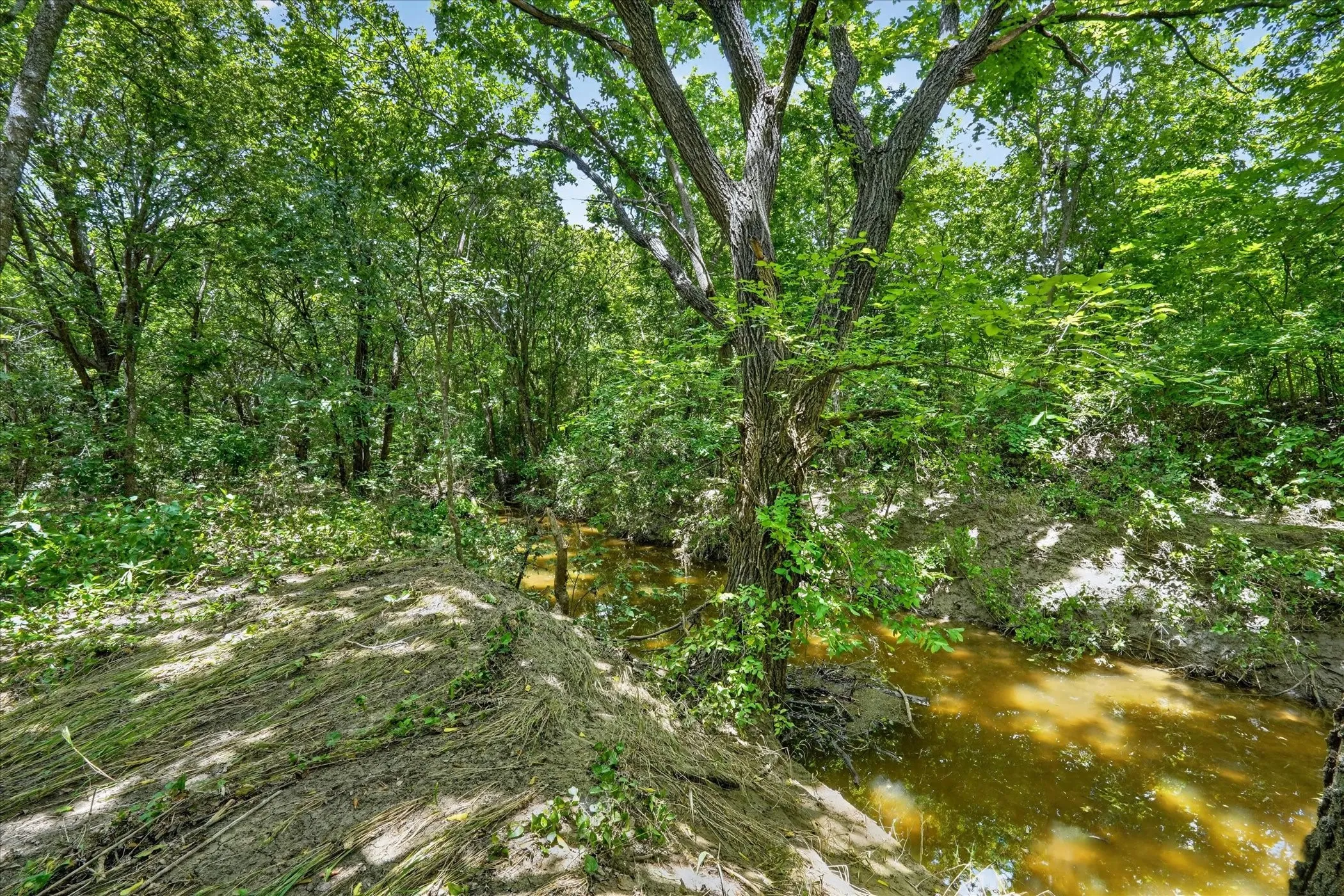 Wooded property with a natural water feature, mature trees, and dense foliage
