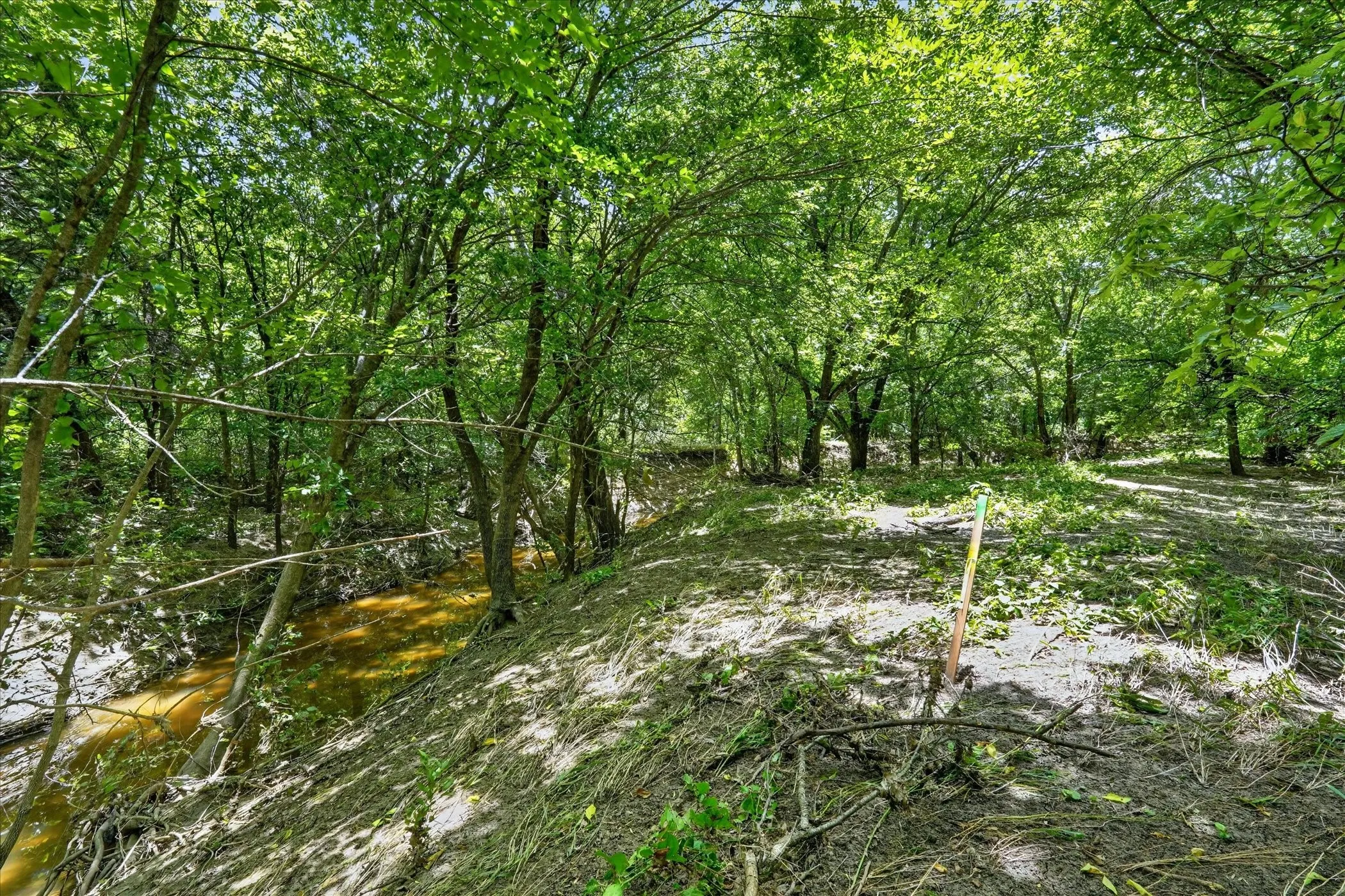 Wooded property featuring a natural stream, mature trees, and dappled sunlight