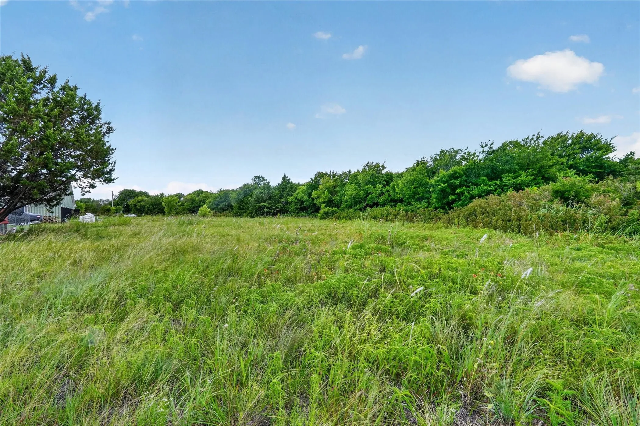 Wooded acreage featuring mature trees and natural ground cover