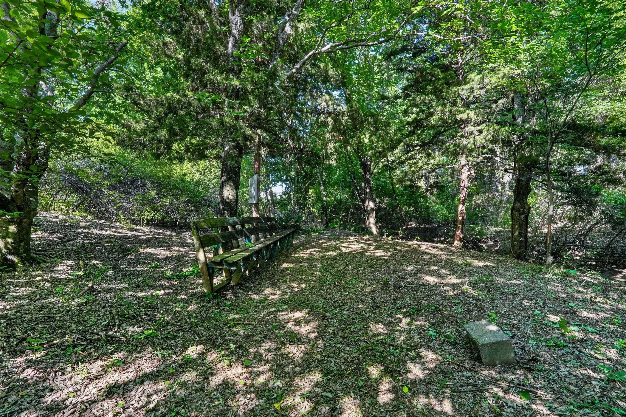 Wooded acreage featuring mature trees and natural ground cover